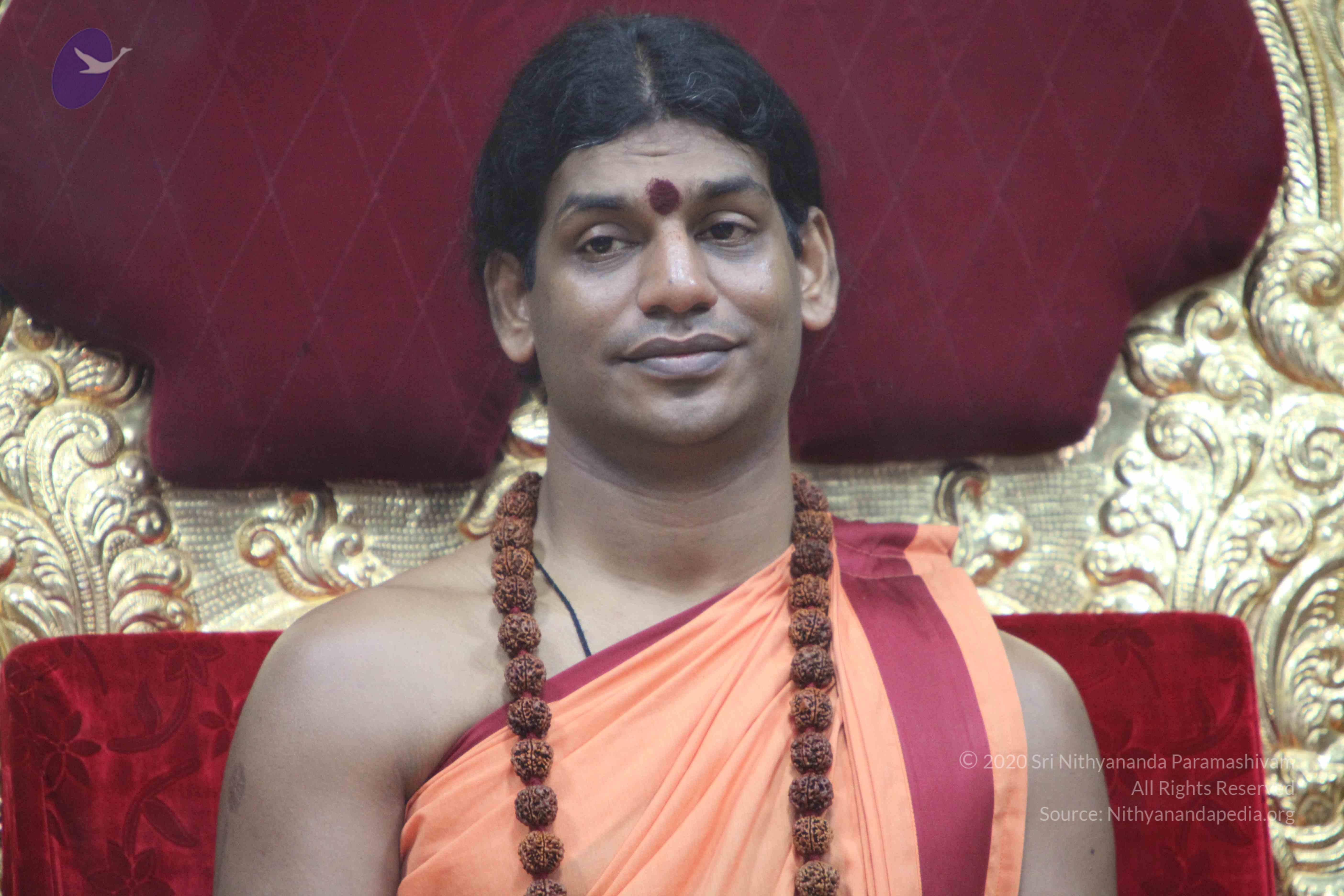 20110202_Photo_1056_IMG_3457_CMP_WM