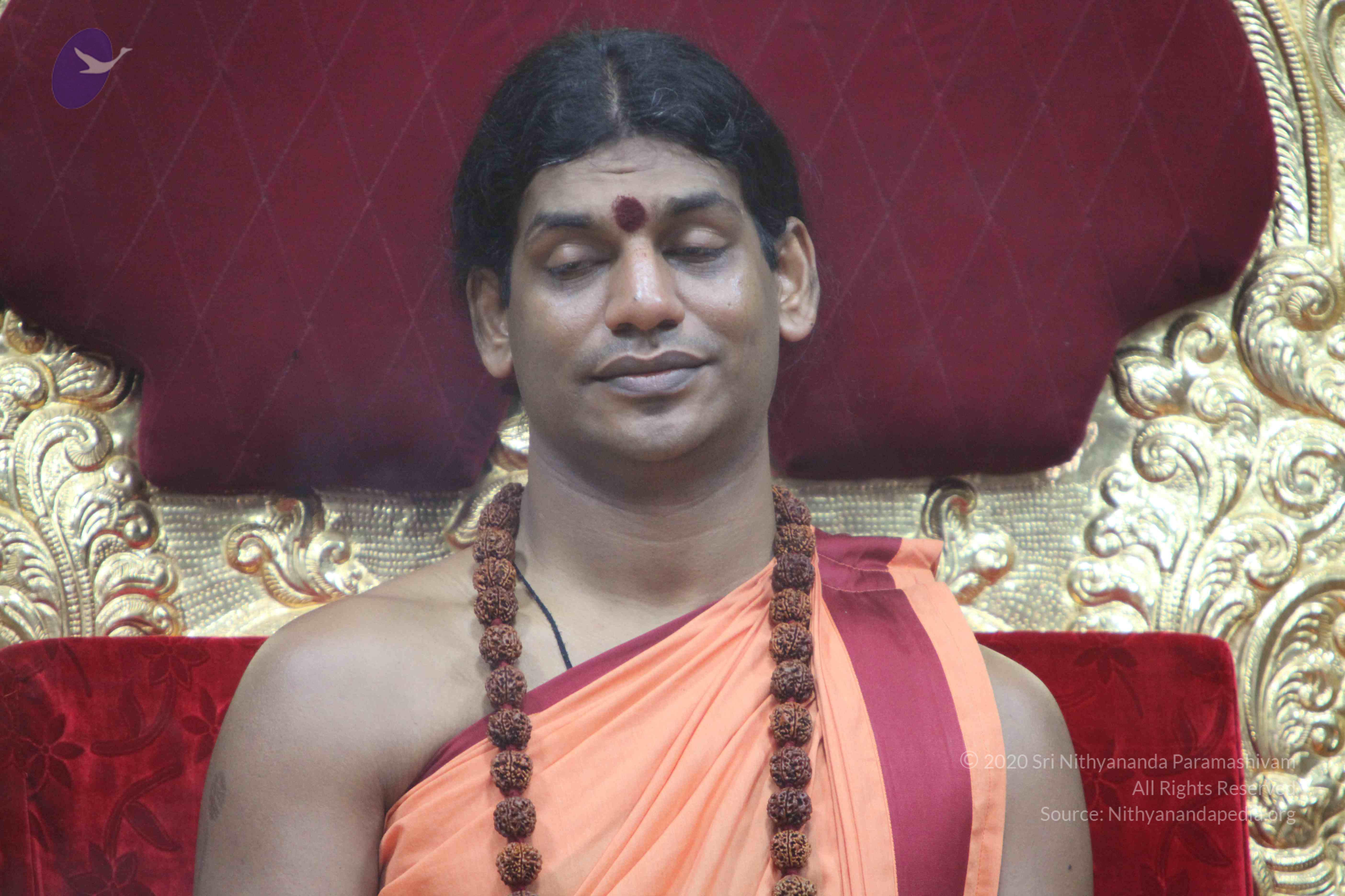 20110202_Photo_1057_IMG_3460_CMP_WM