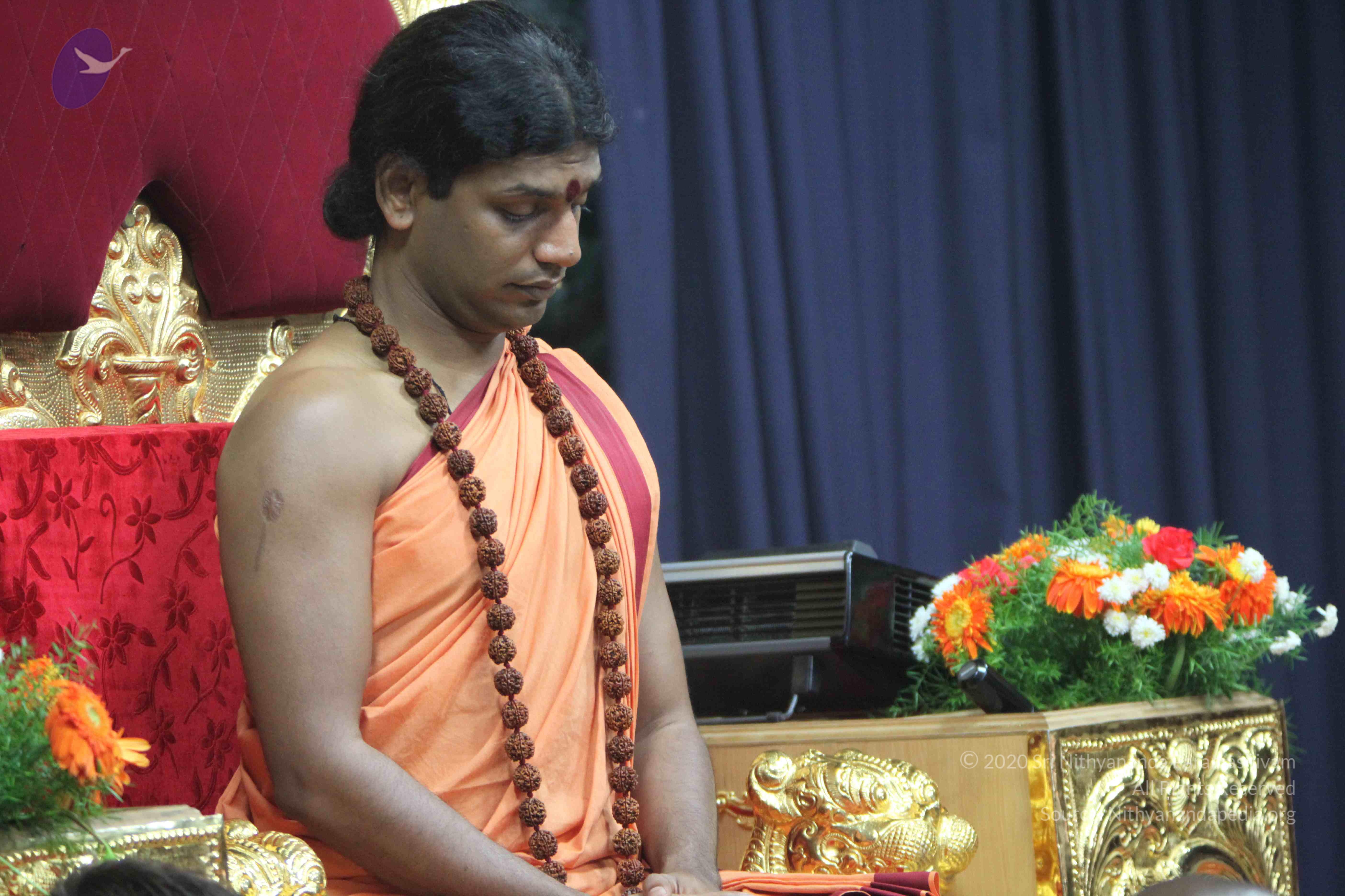 20110202_Photo_1066_IMG_3419_CMP_WM