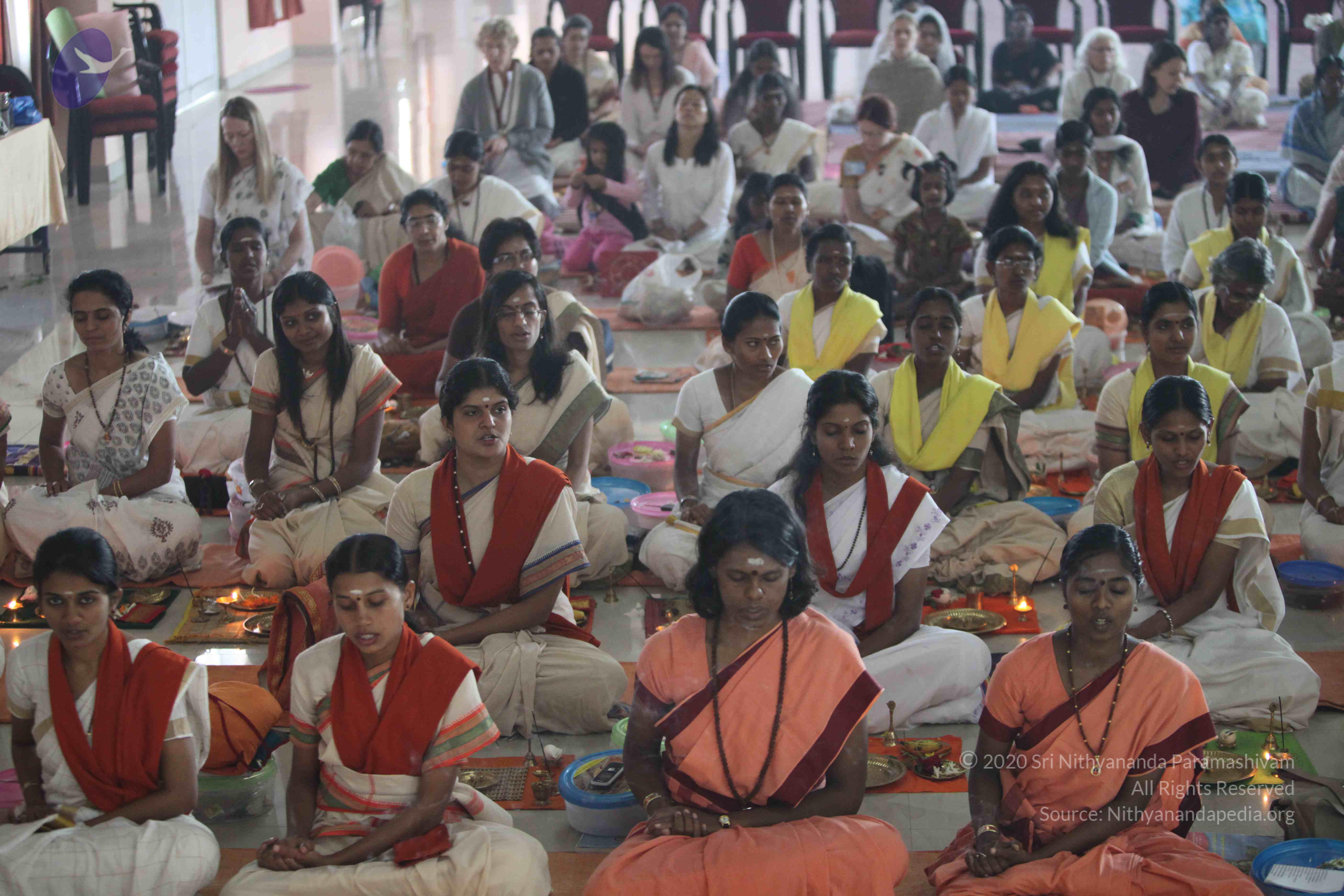 20110202_Photo_1067_IMG_3319_CMP_WM