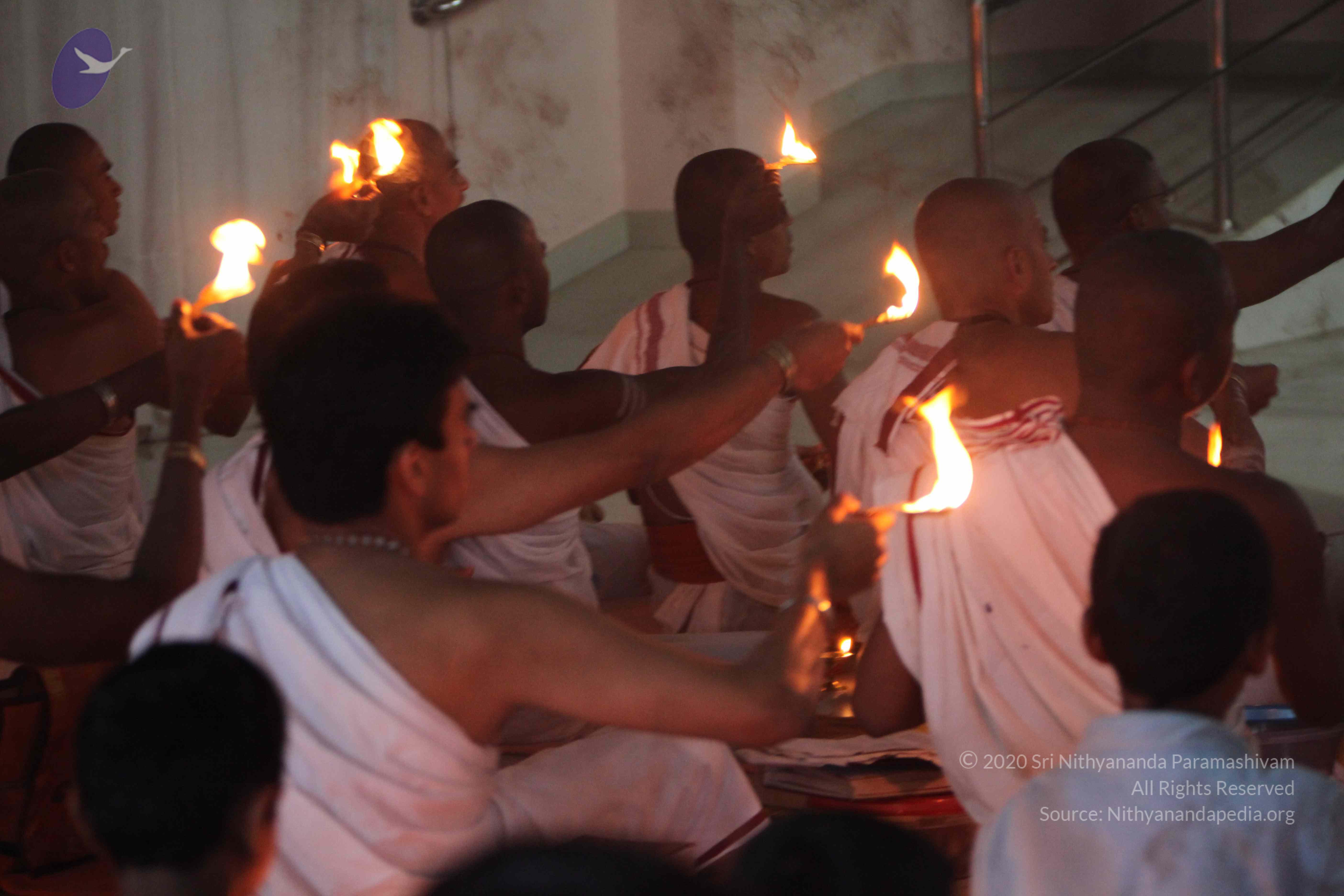 20110202_Photo_1077_IMG_3450_CMP_WM