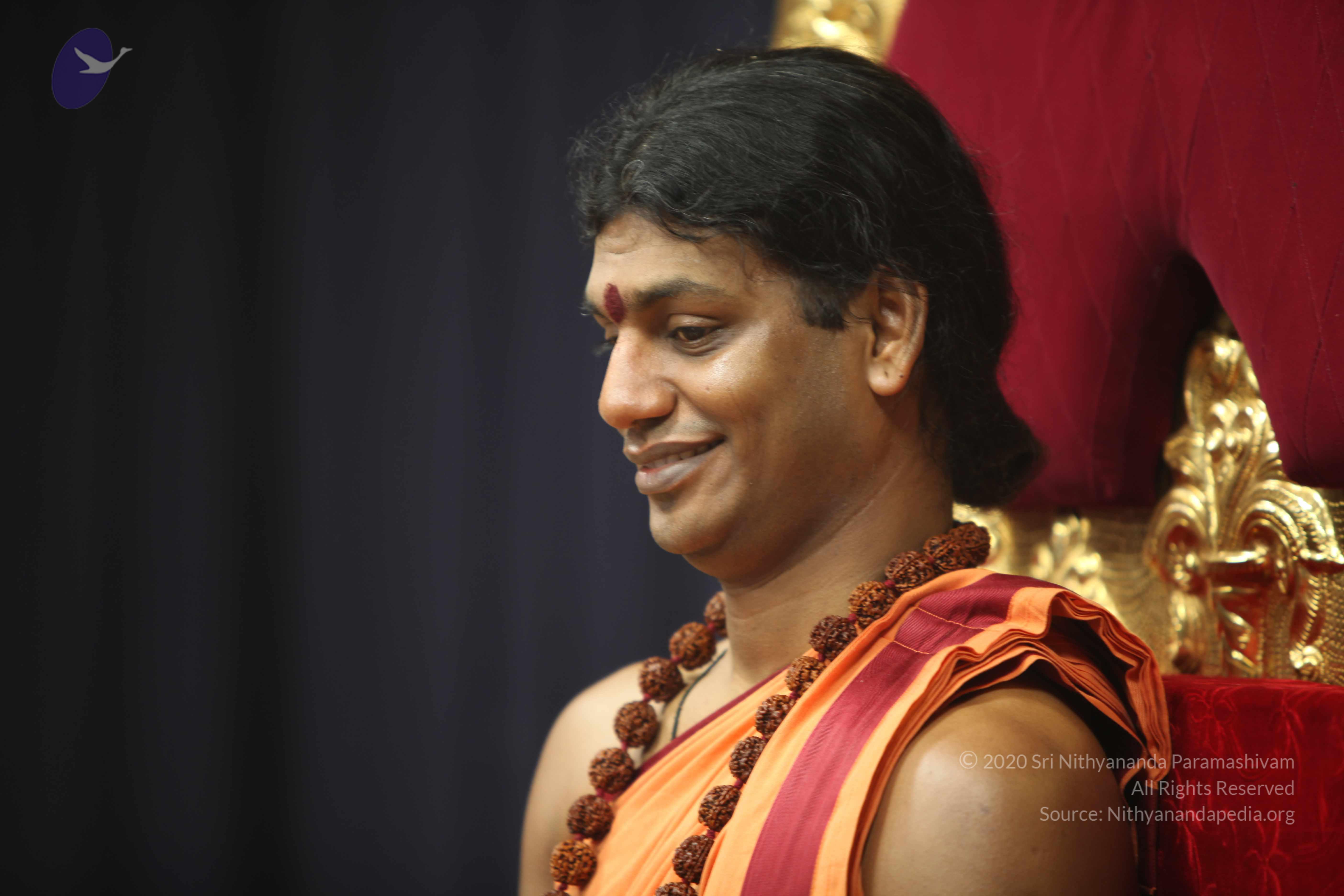 20110202_Photo_1079_IMG_3305_CMP_WM