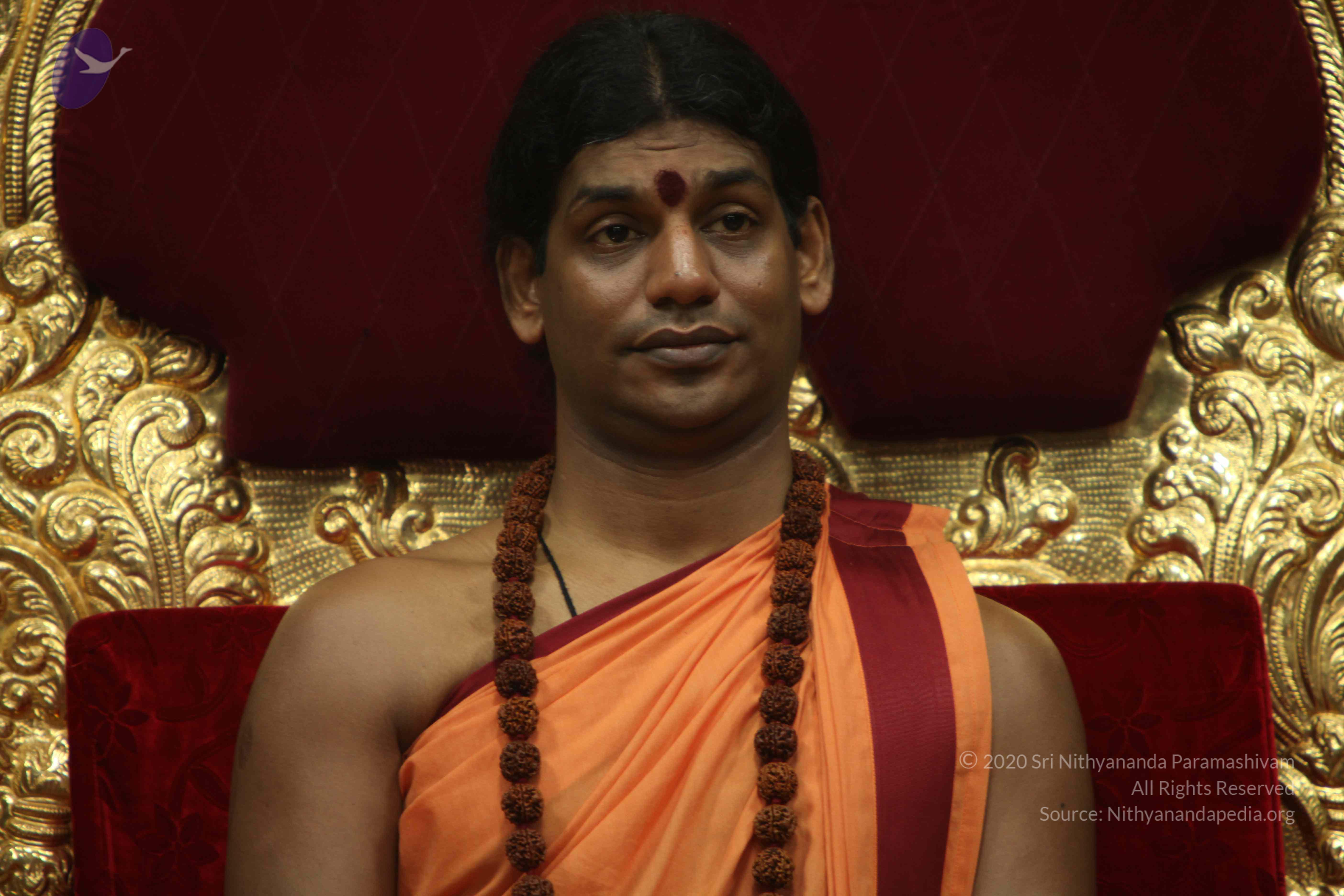 20110202_Photo_1082_IMG_3398_CMP_WM