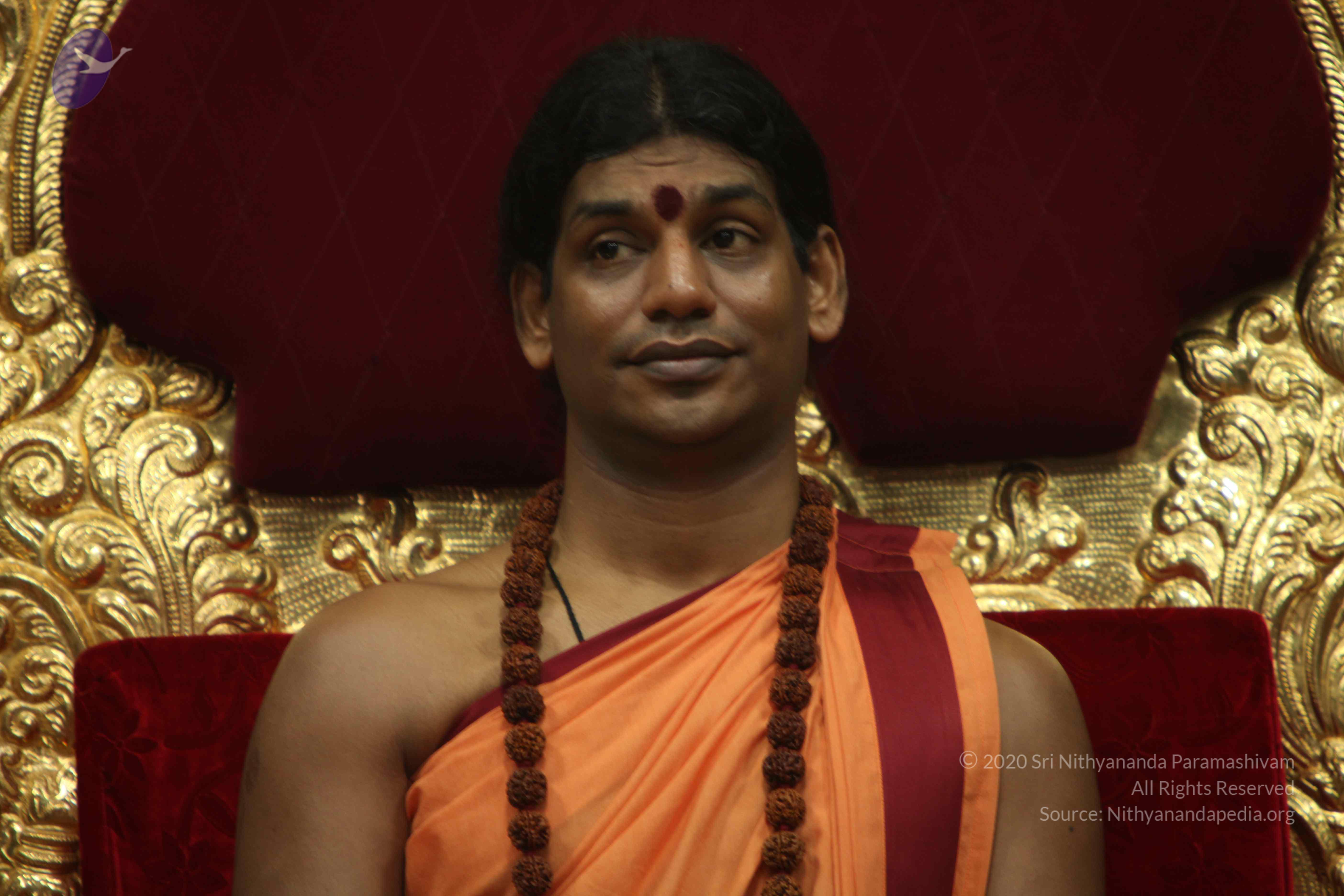 20110202_Photo_1083_IMG_3389_CMP_WM