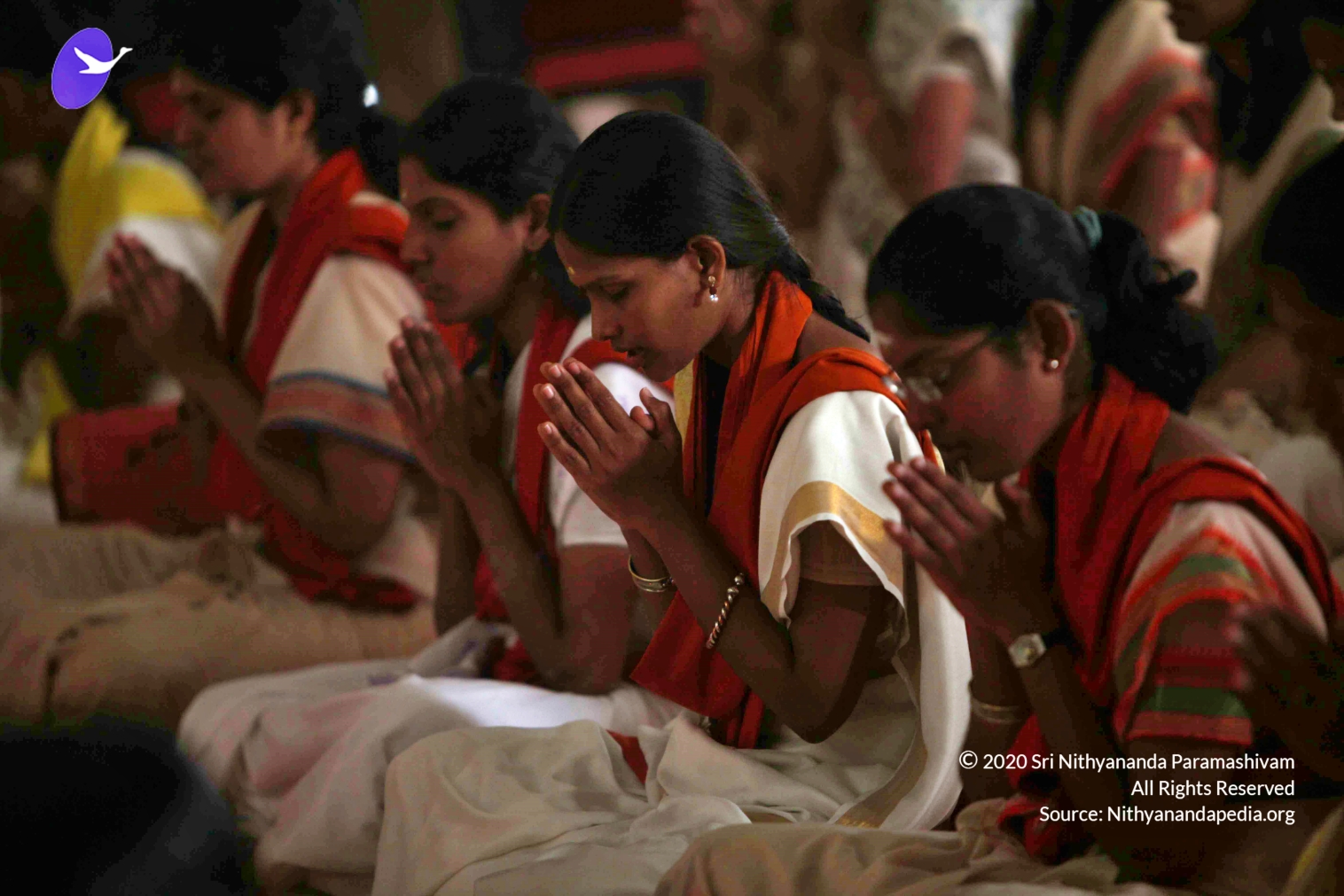 20110202_Photo_1084_IMG_3489_CMP_WM