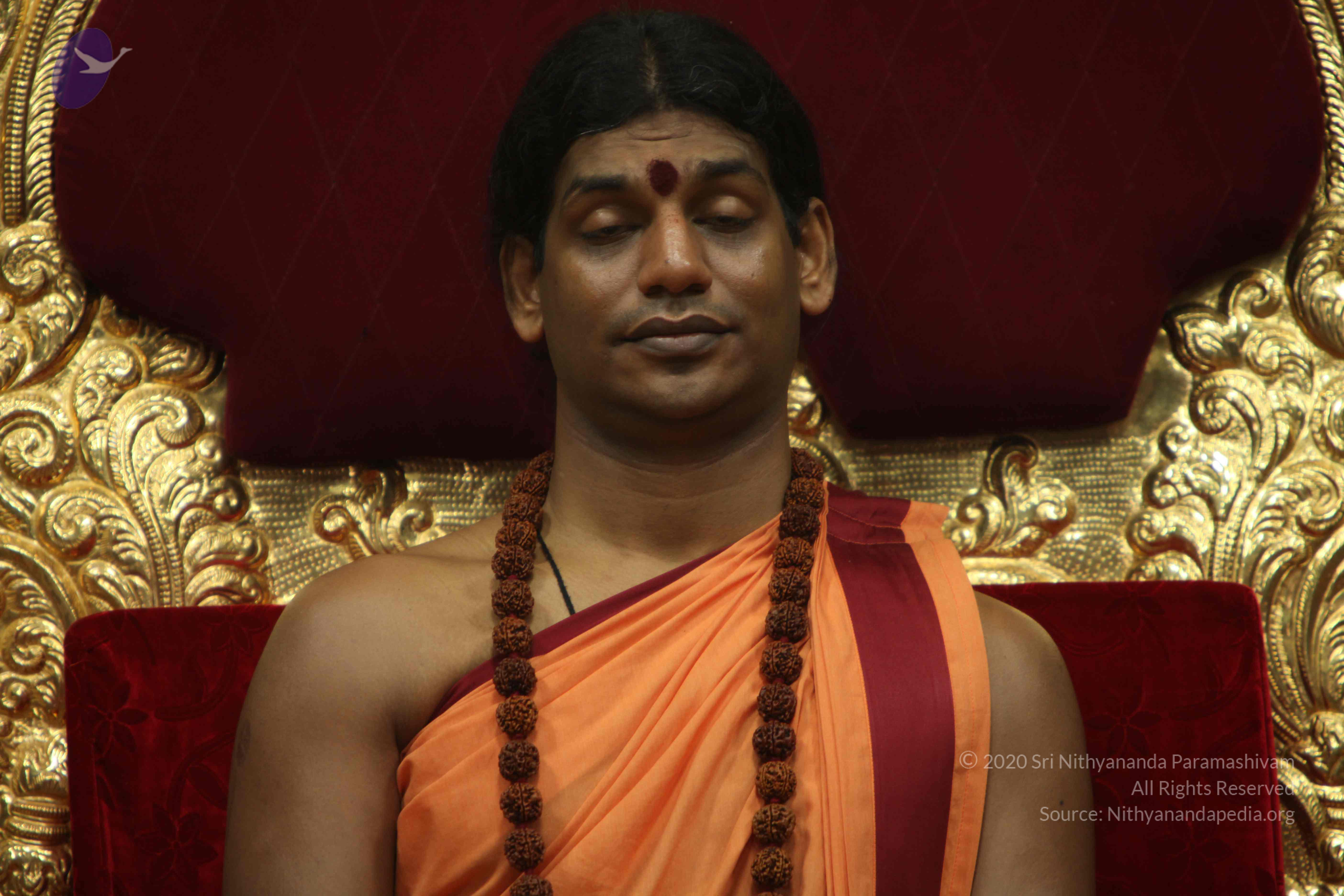 20110202_Photo_1098_IMG_3395_CMP_WM