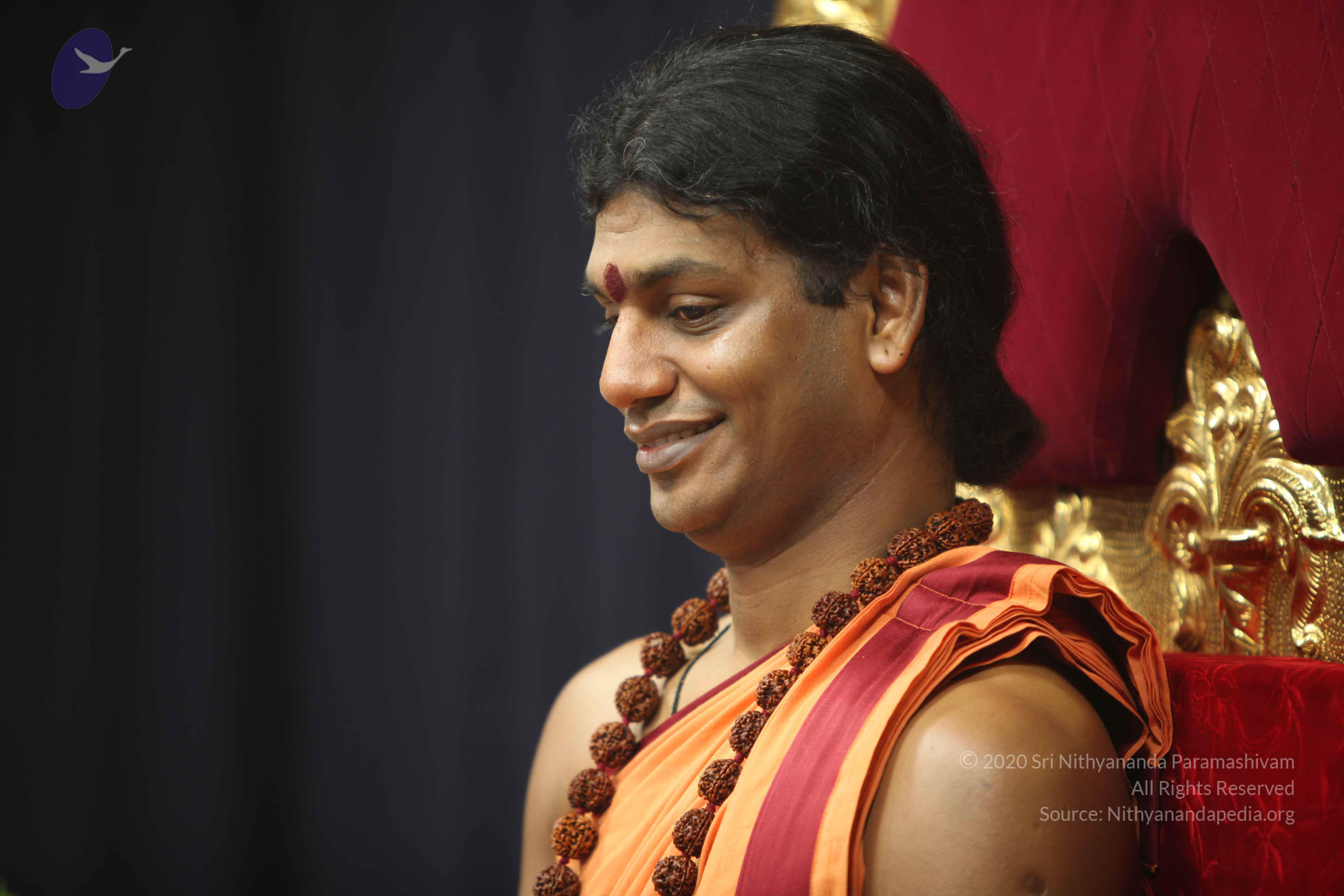 20110202_Photo_1100_IMG_3308_CMP_WM