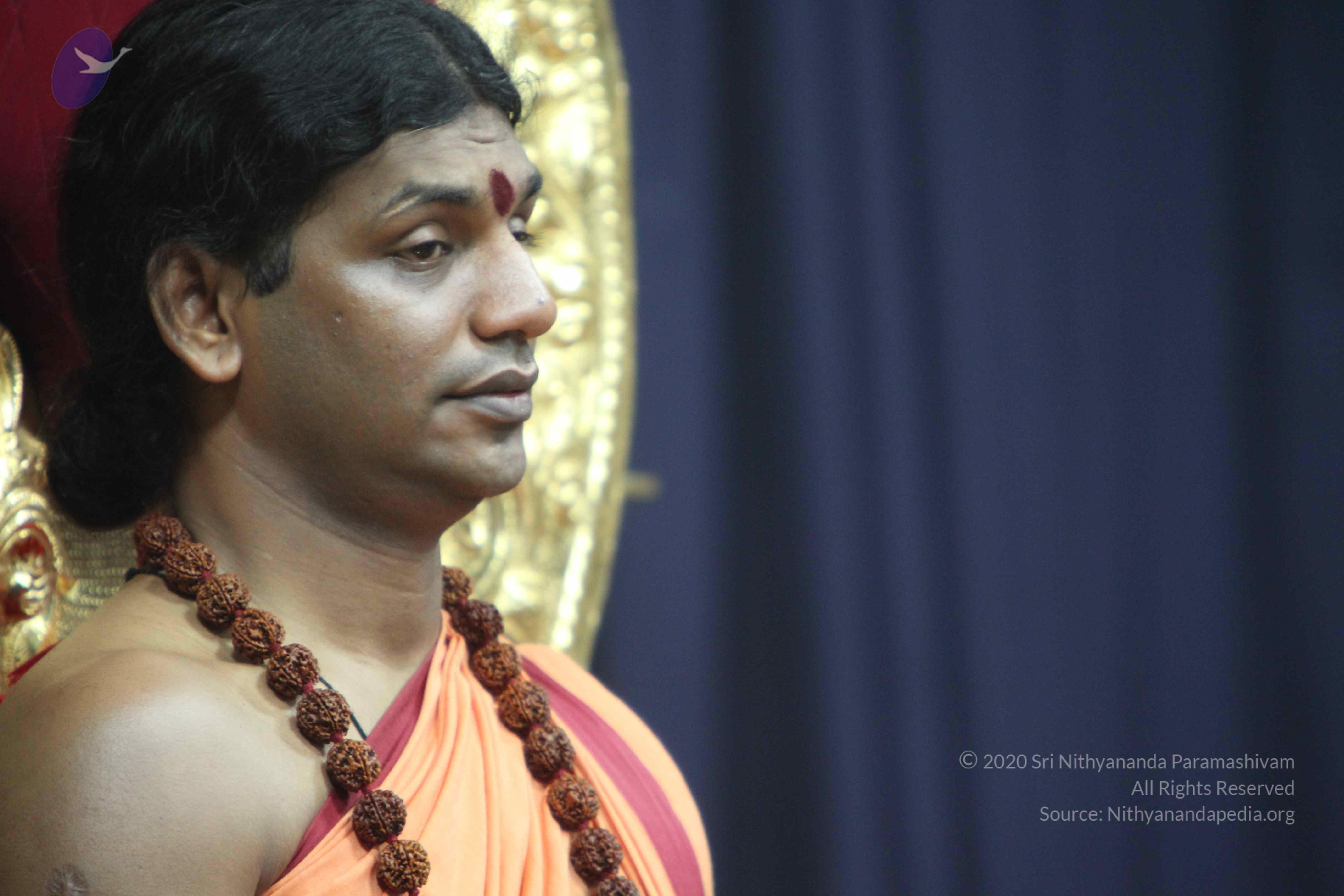 20110202_Photo_1101_IMG_3408_CMP_WM