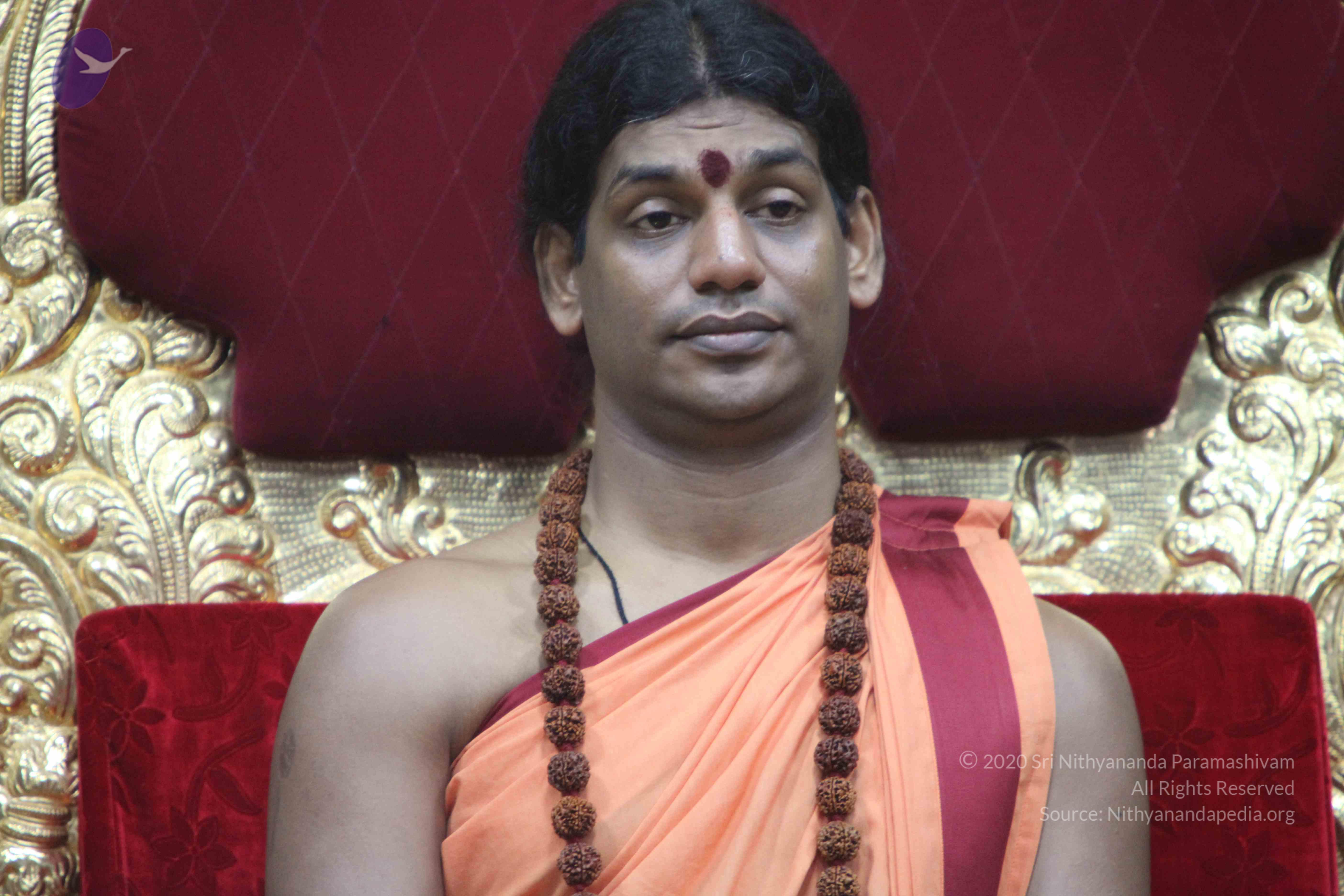 20110202_Photo_1103_IMG_3444_CMP_WM