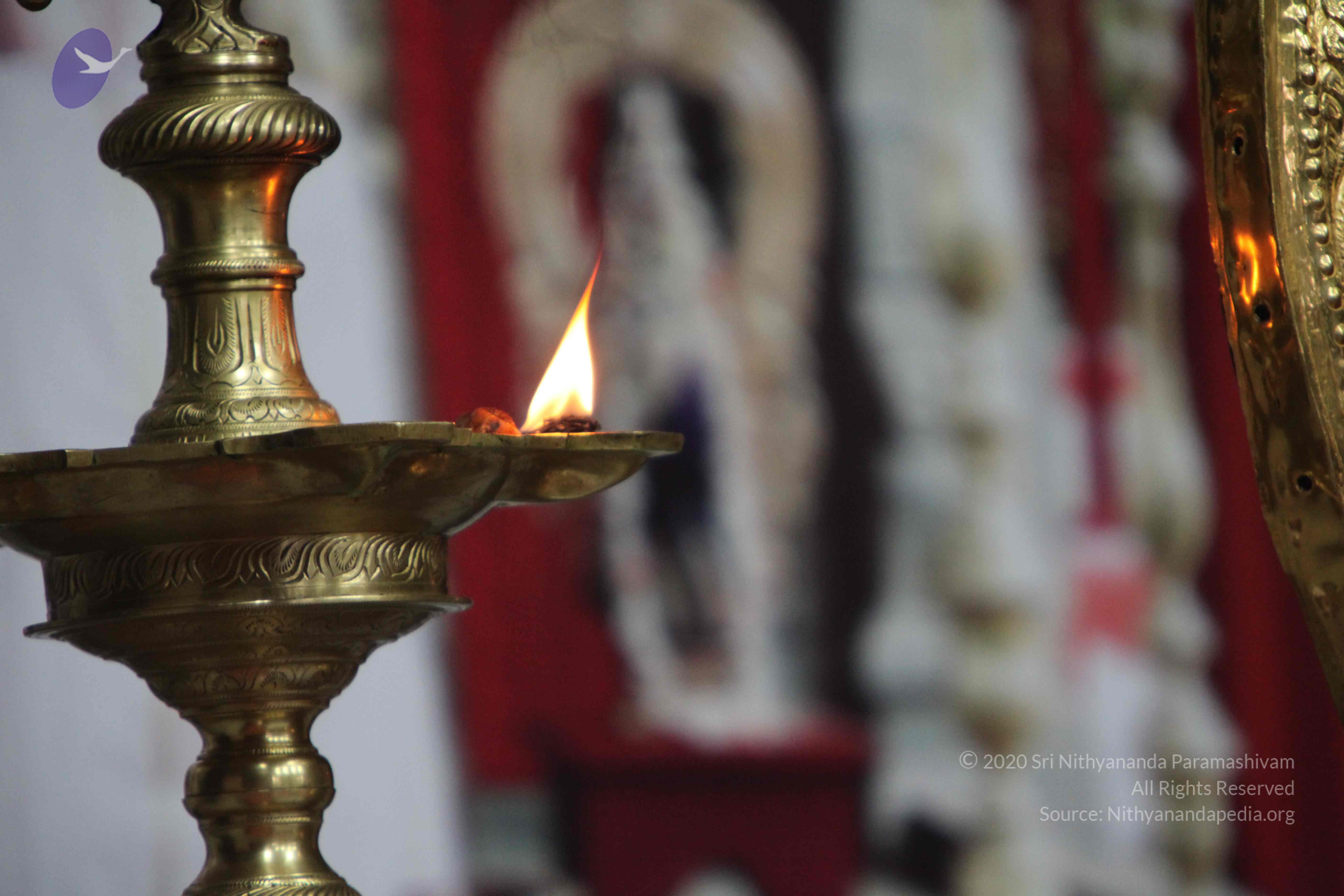 20110202_Photo_1108_IMG_3426_CMP_WM