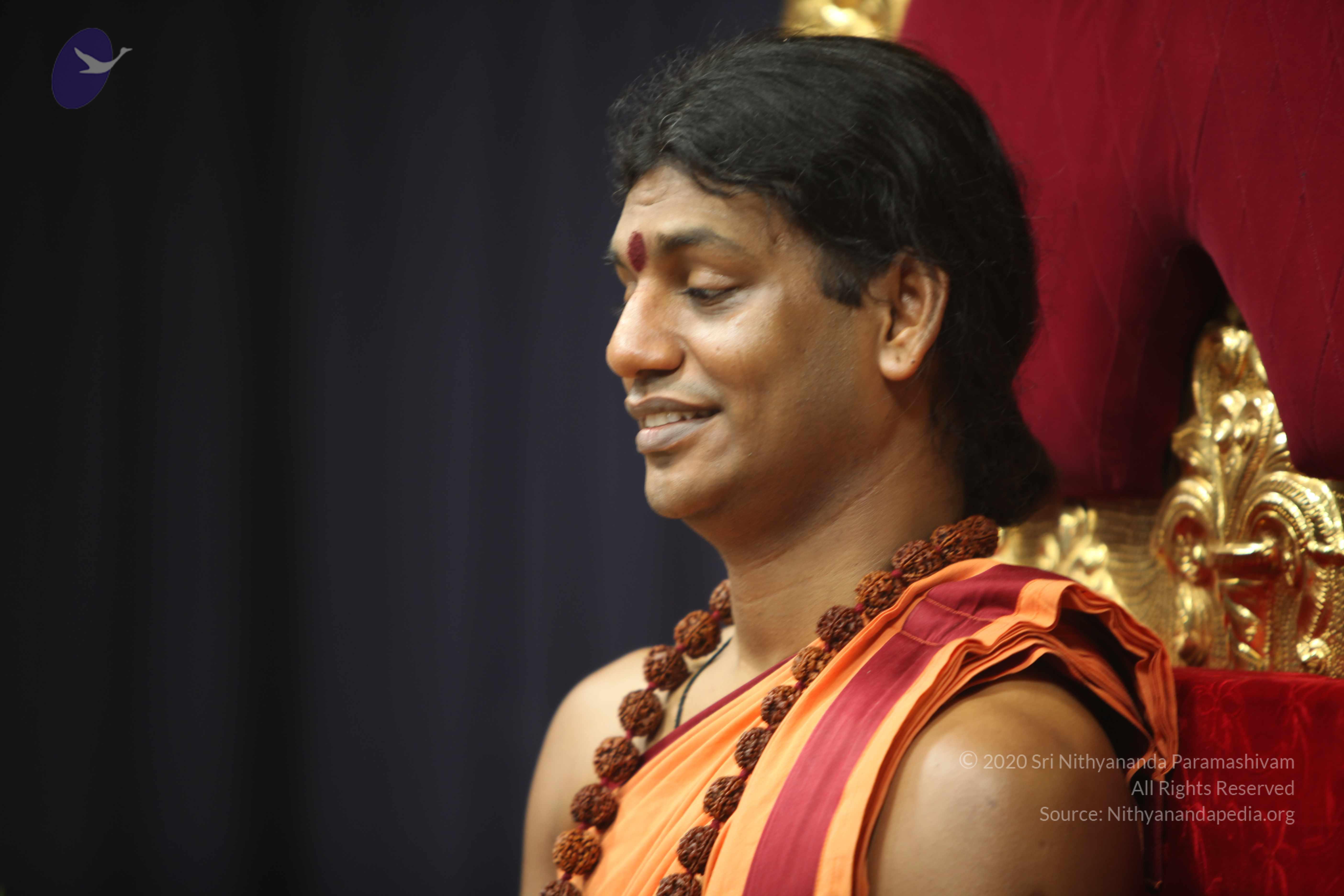 20110202_Photo_1114_IMG_3298_CMP_WM