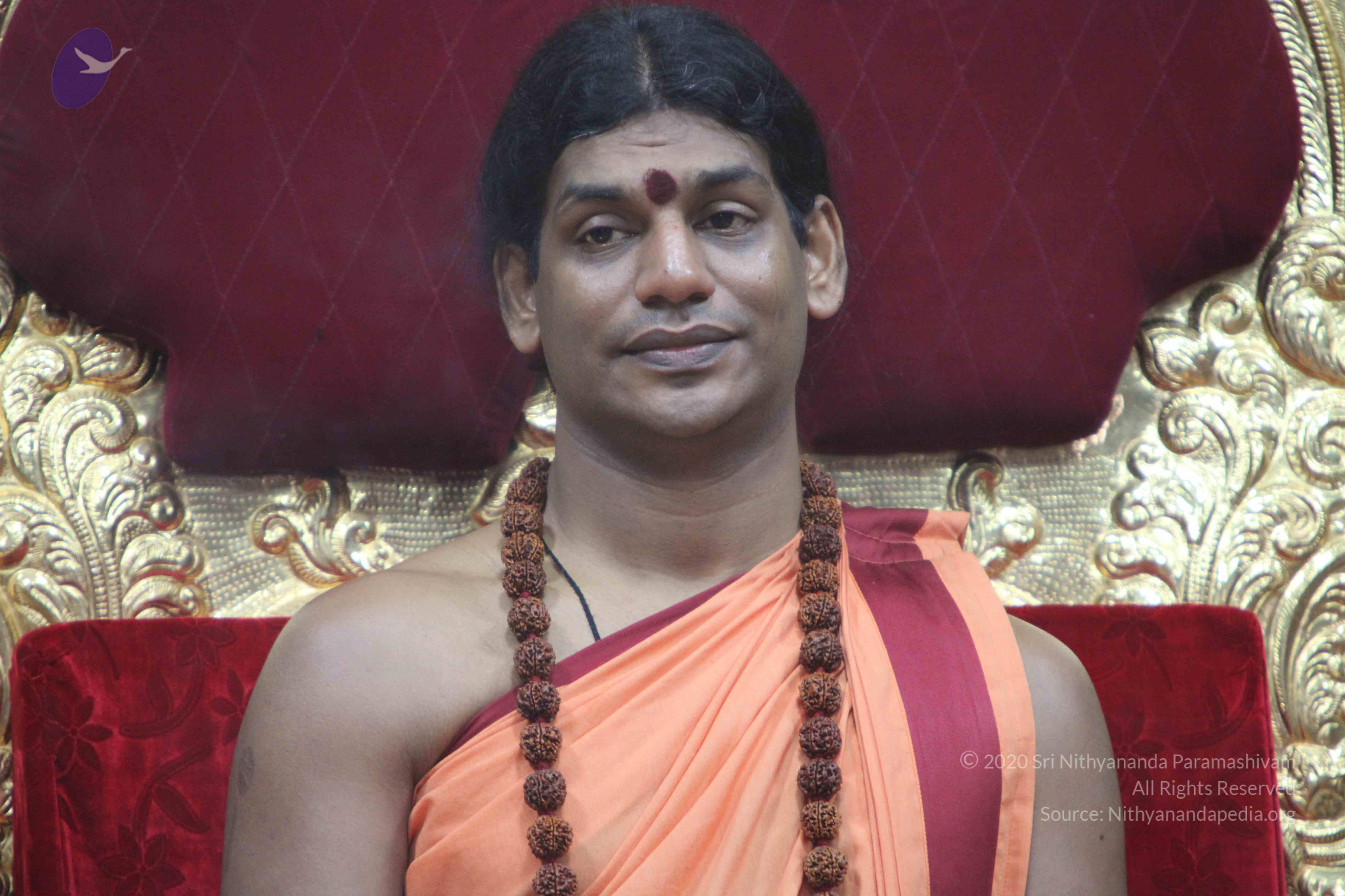 20110202_Photo_1115_IMG_3458_CMP_WM