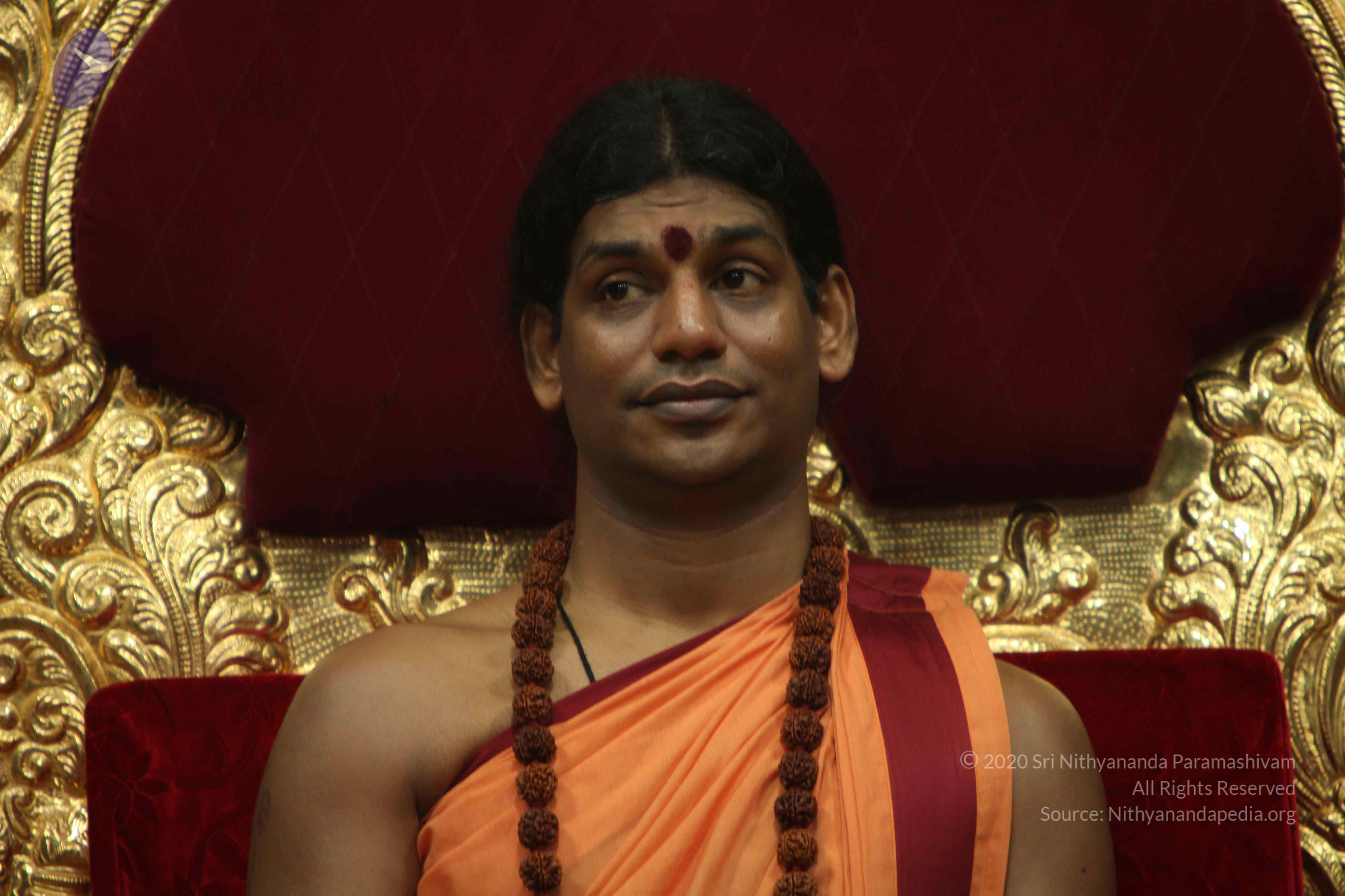 20110202_Photo_1117_IMG_3390_CMP_WM