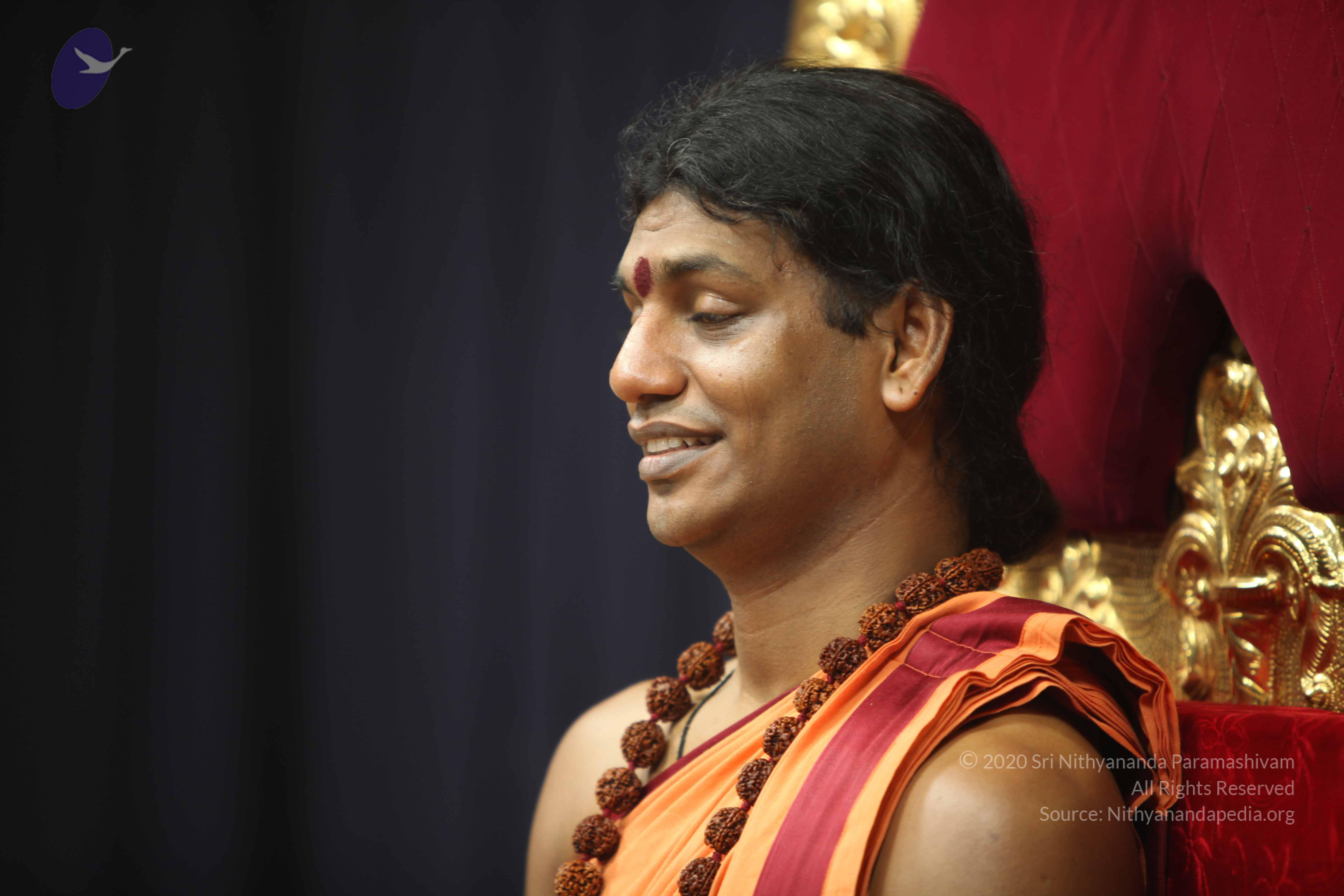 20110202_Photo_1121_IMG_3295_CMP_WM