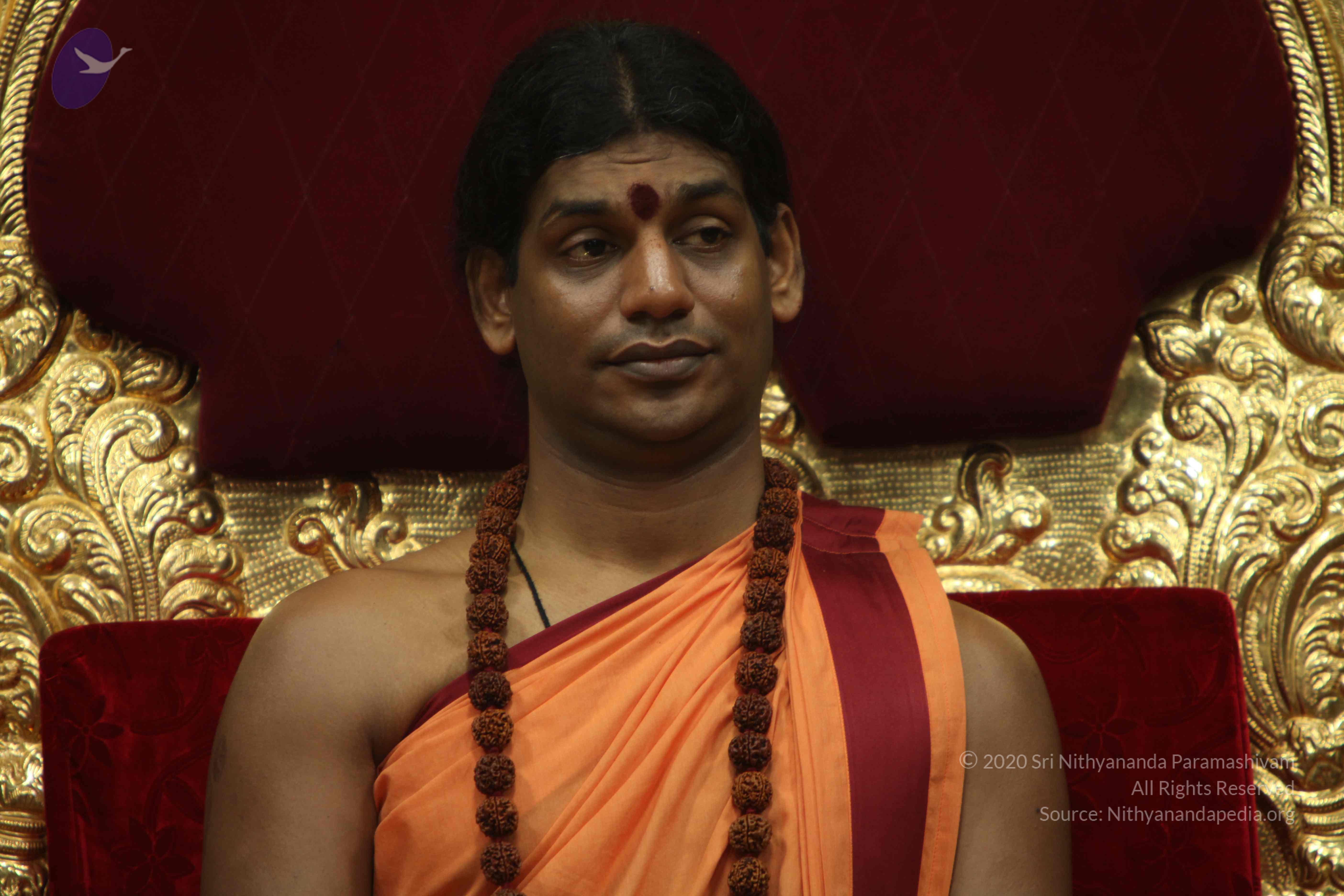 20110202_Photo_1128_IMG_3400_CMP_WM