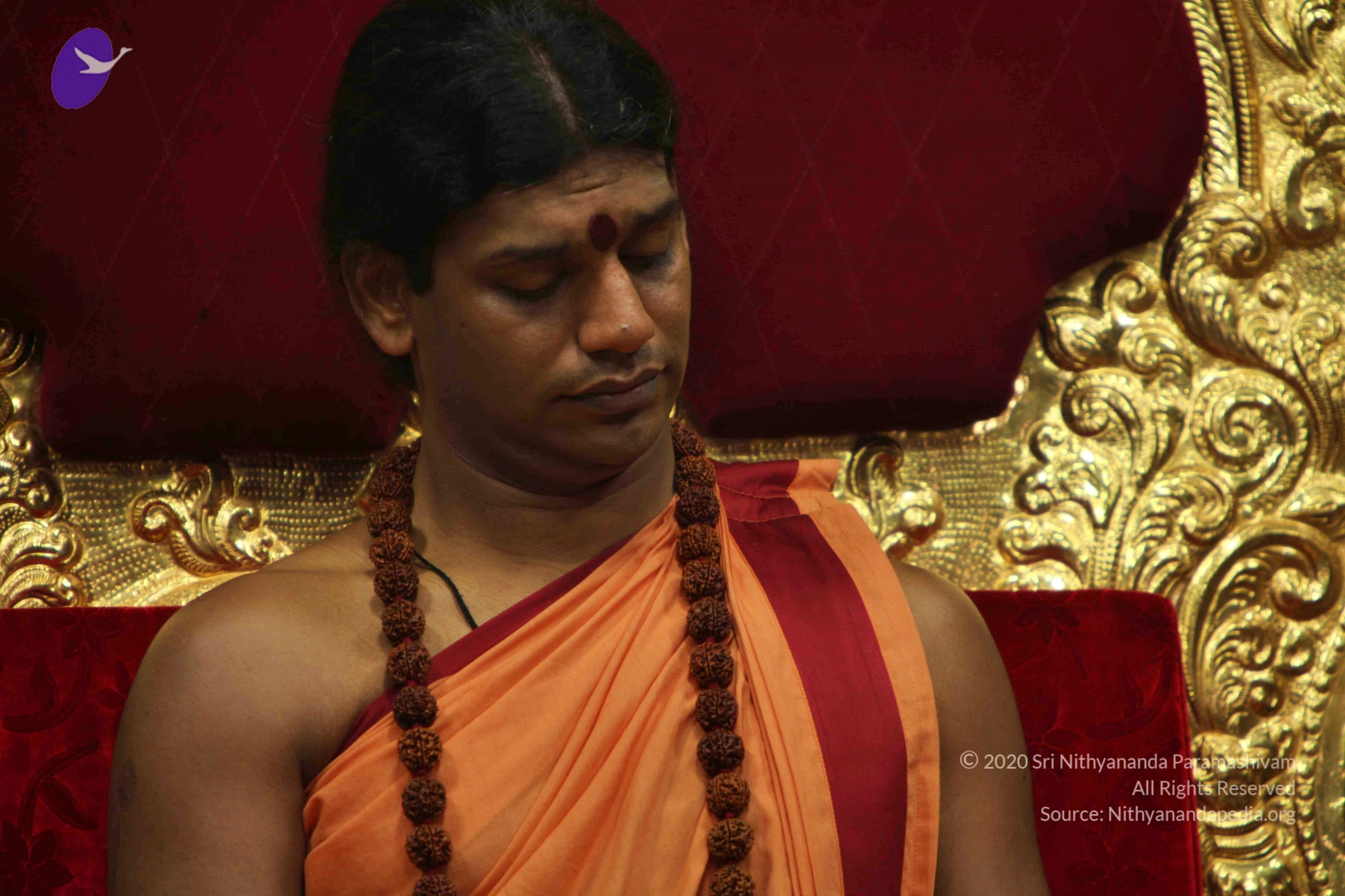 20110202_Photo_1130_IMG_3355_CMP_WM