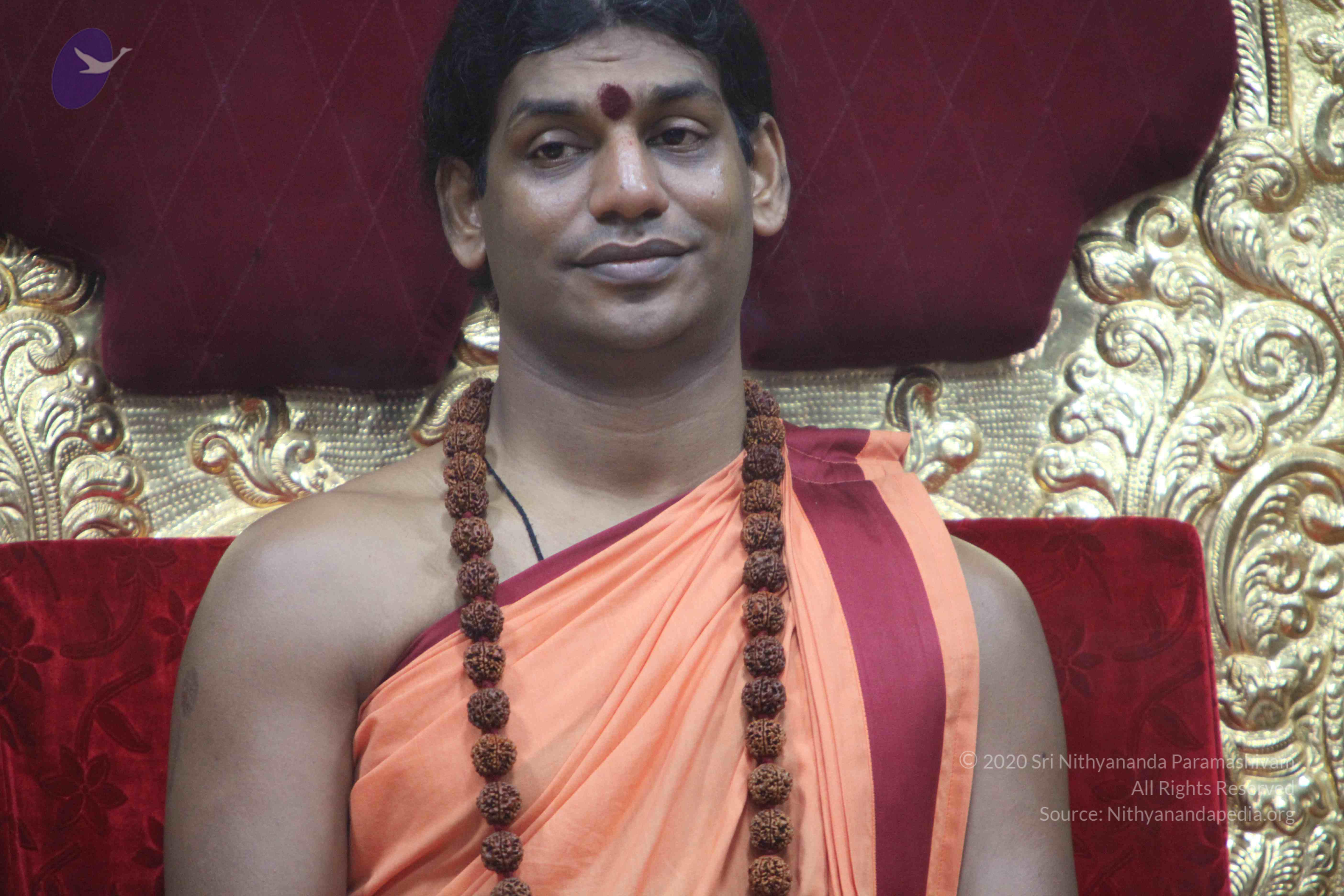 20110202_Photo_1134_IMG_3455_CMP_WM