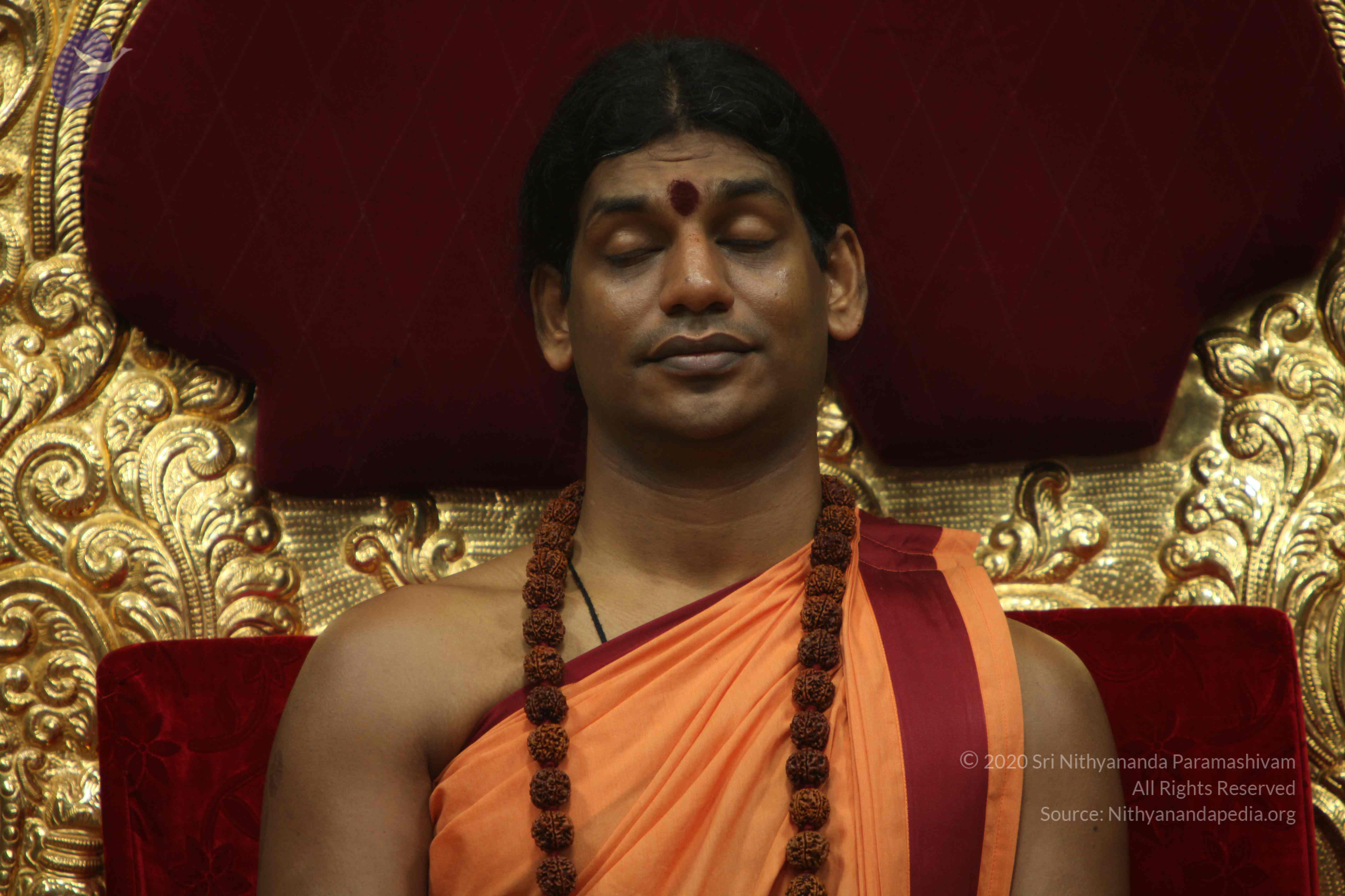 20110202_Photo_1136_IMG_3393_CMP_WM