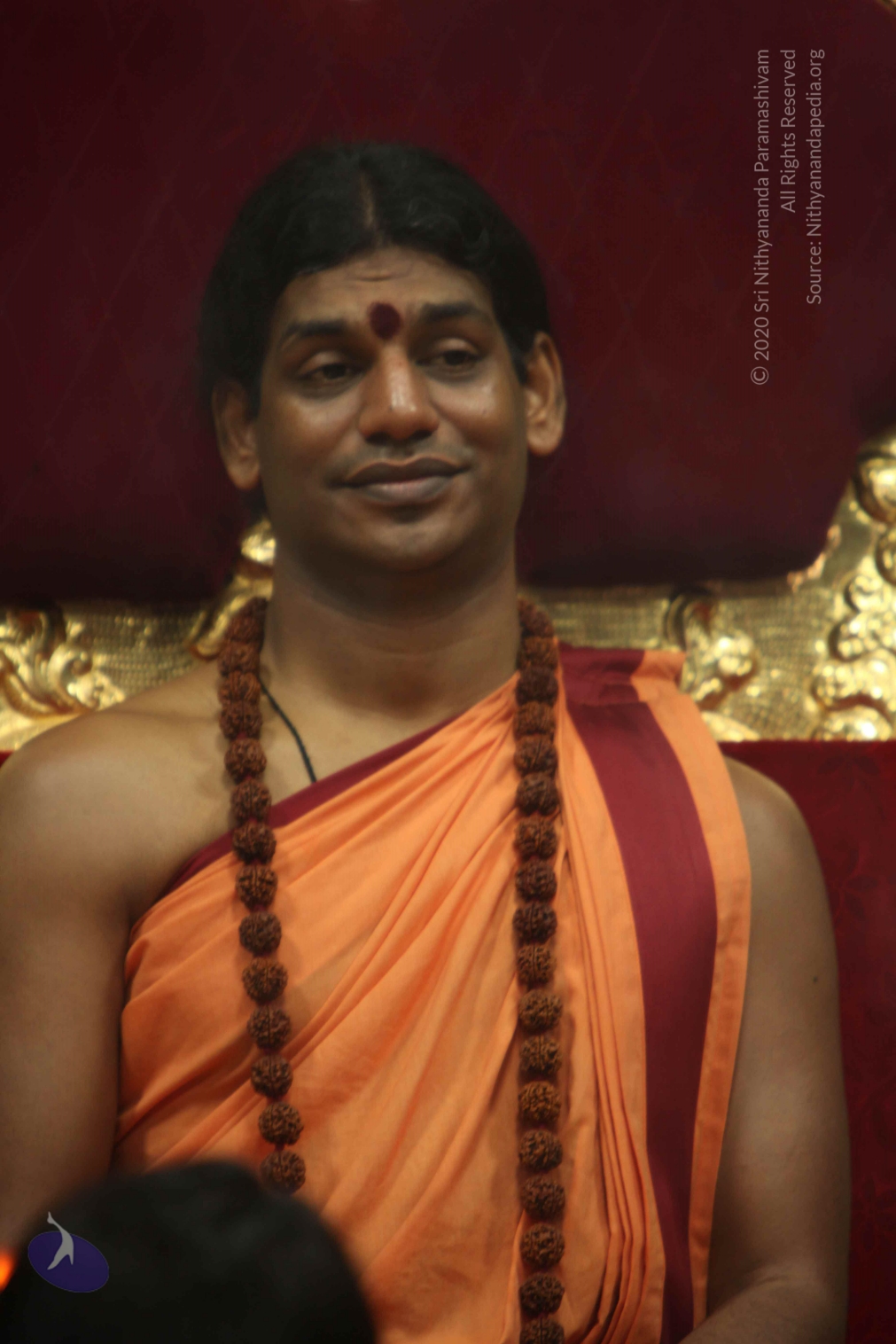 20110202_Photo_1143_IMG_3470_CMP_WM