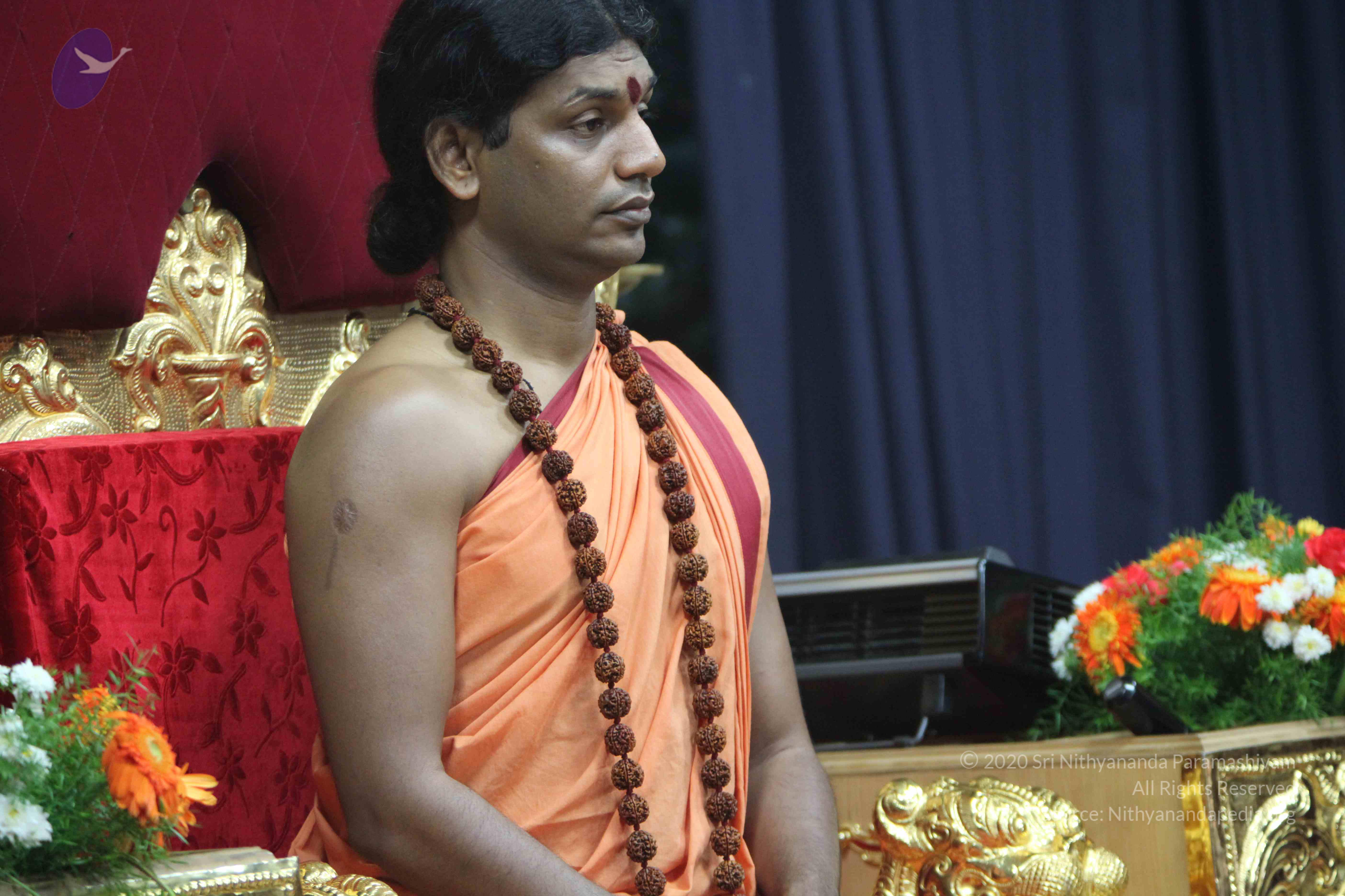 20110202_Photo_1146_IMG_3412_CMP_WM