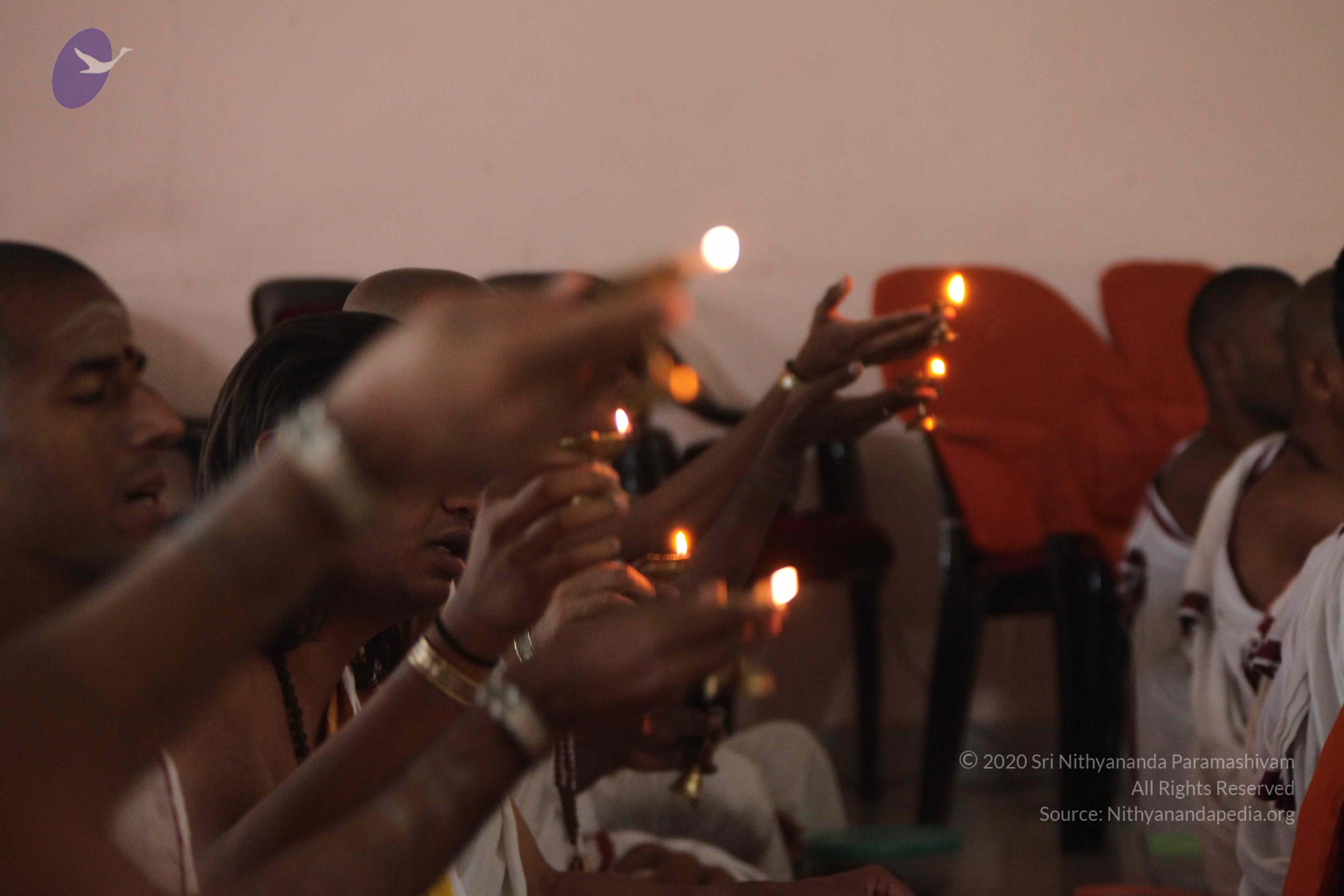 20110202_Photo_1156_IMG_3434_CMP_WM