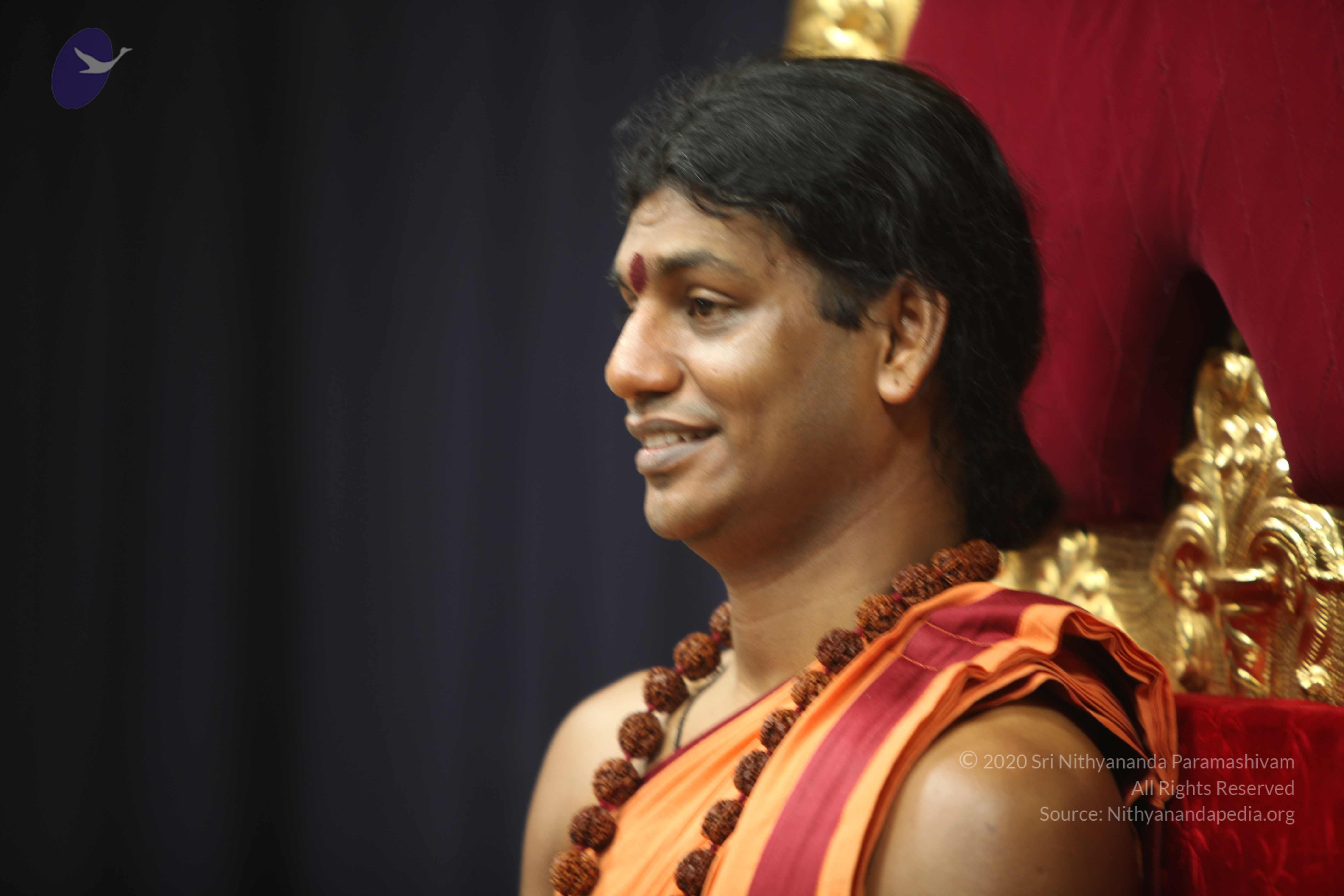 20110202_Photo_1181_IMG_3293_CMP_WM