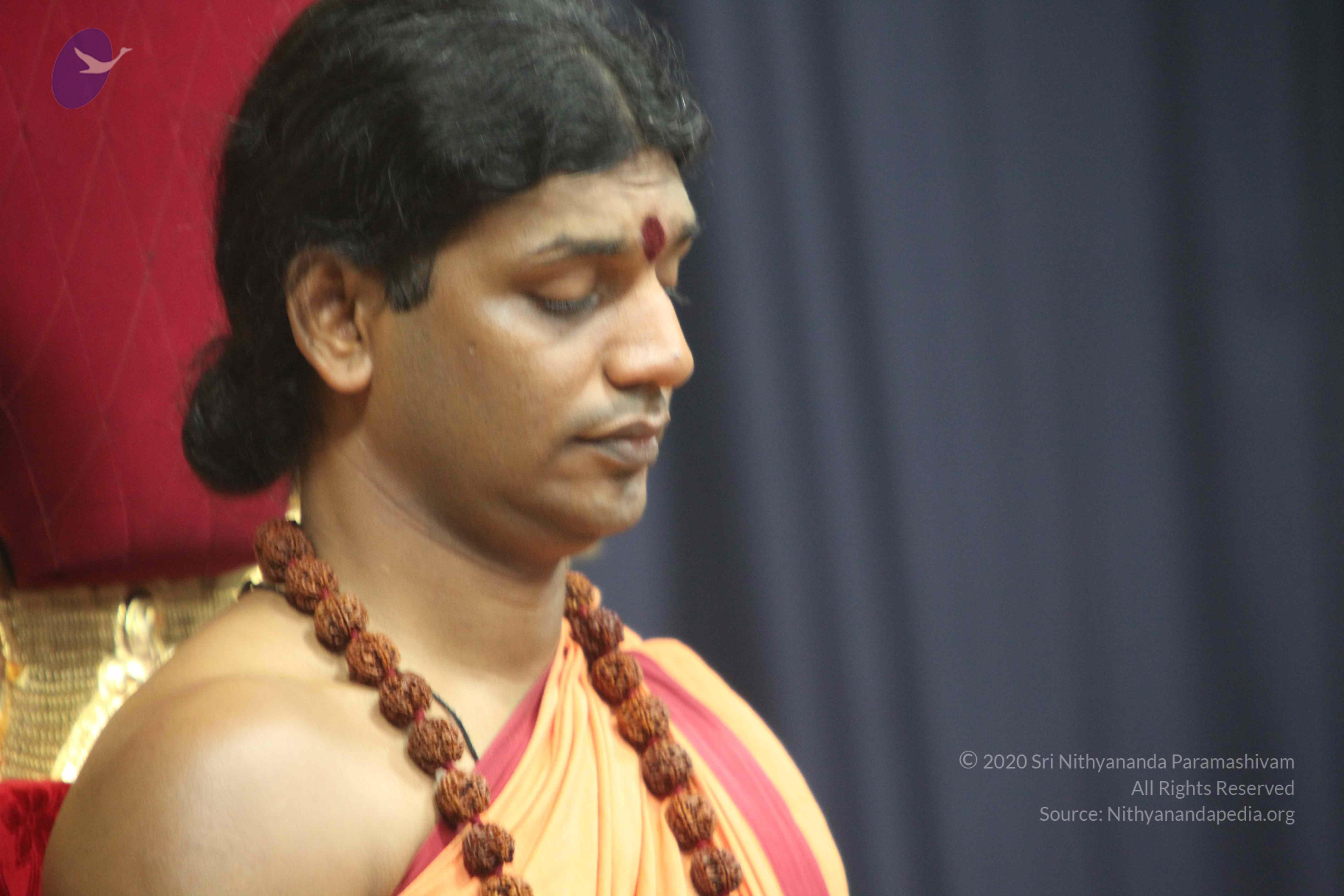 20110202_Photo_1206_IMG_3427_CMP_WM