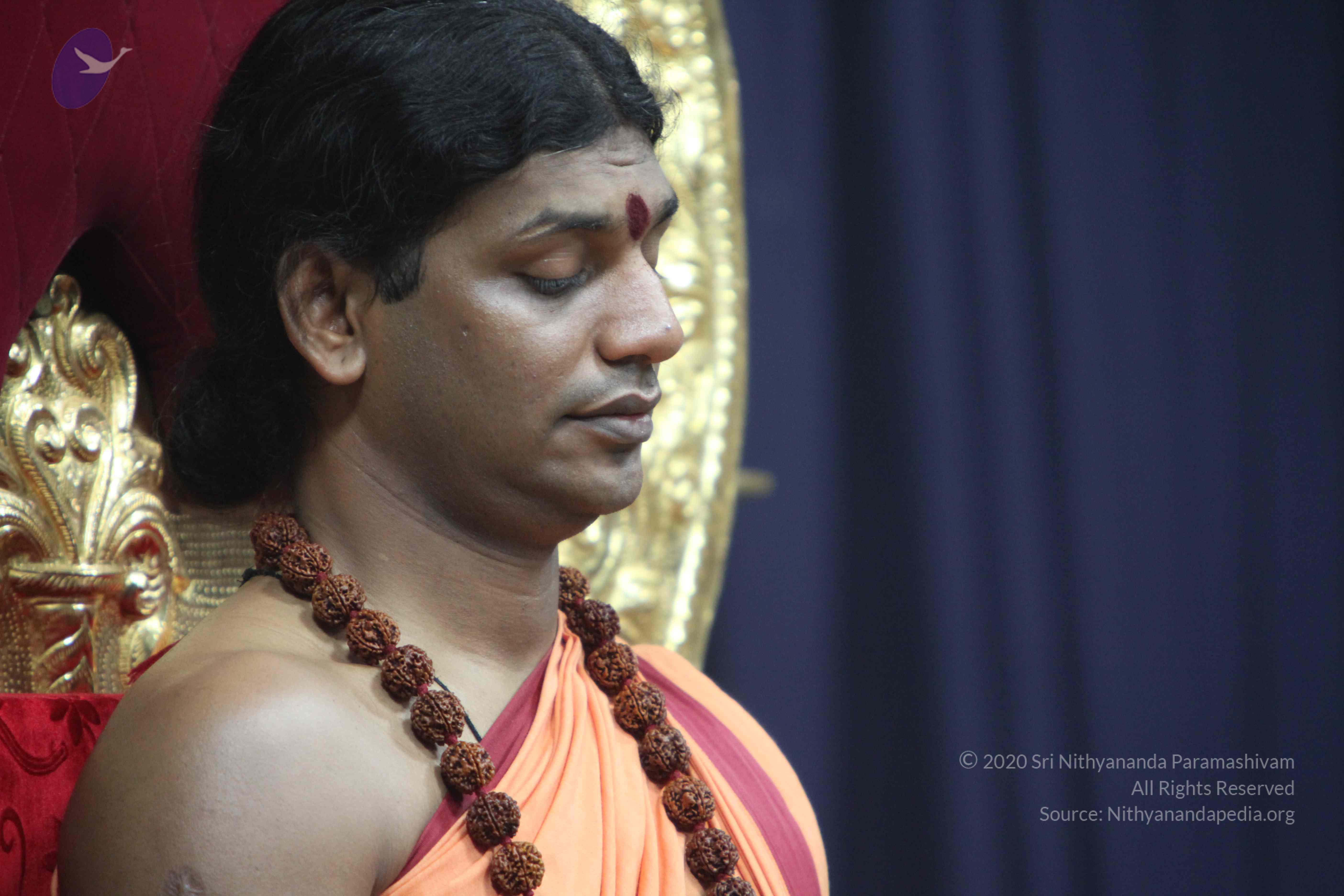 20110202_Photo_1209_IMG_3410_CMP_WM