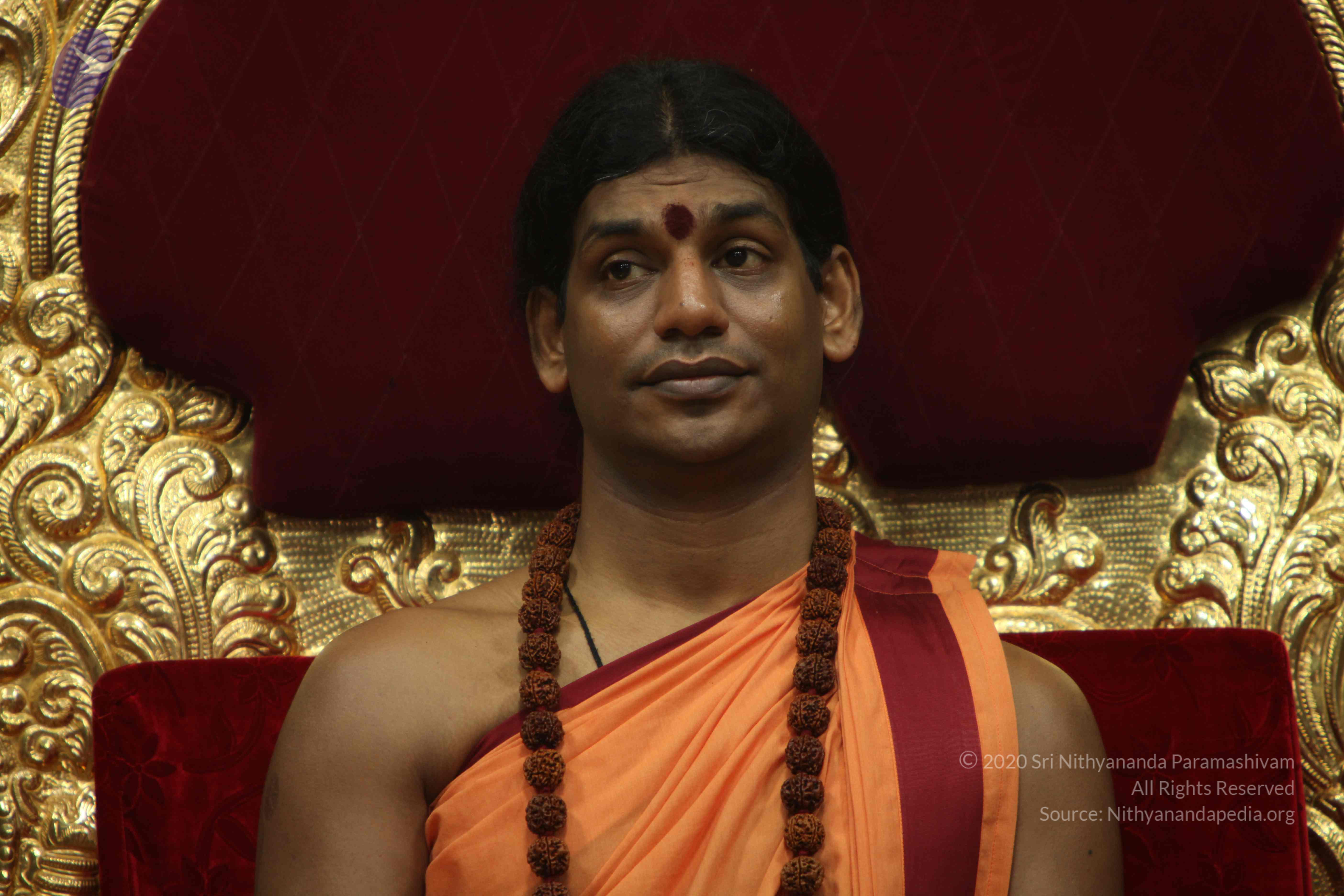 20110202_Photo_1213_IMG_3391_CMP_WM