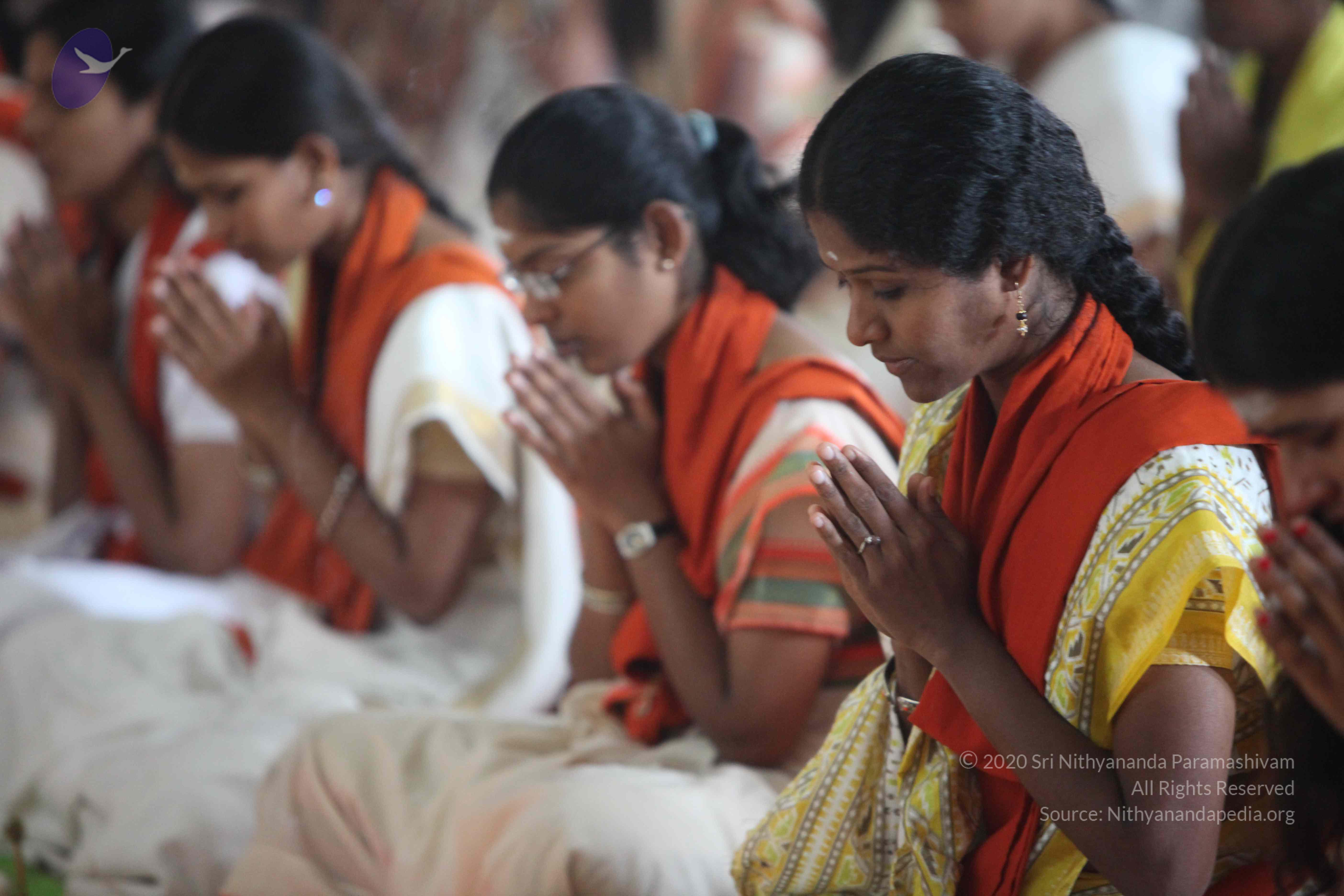 20110202_Photo_1215_IMG_3491_CMP_WM