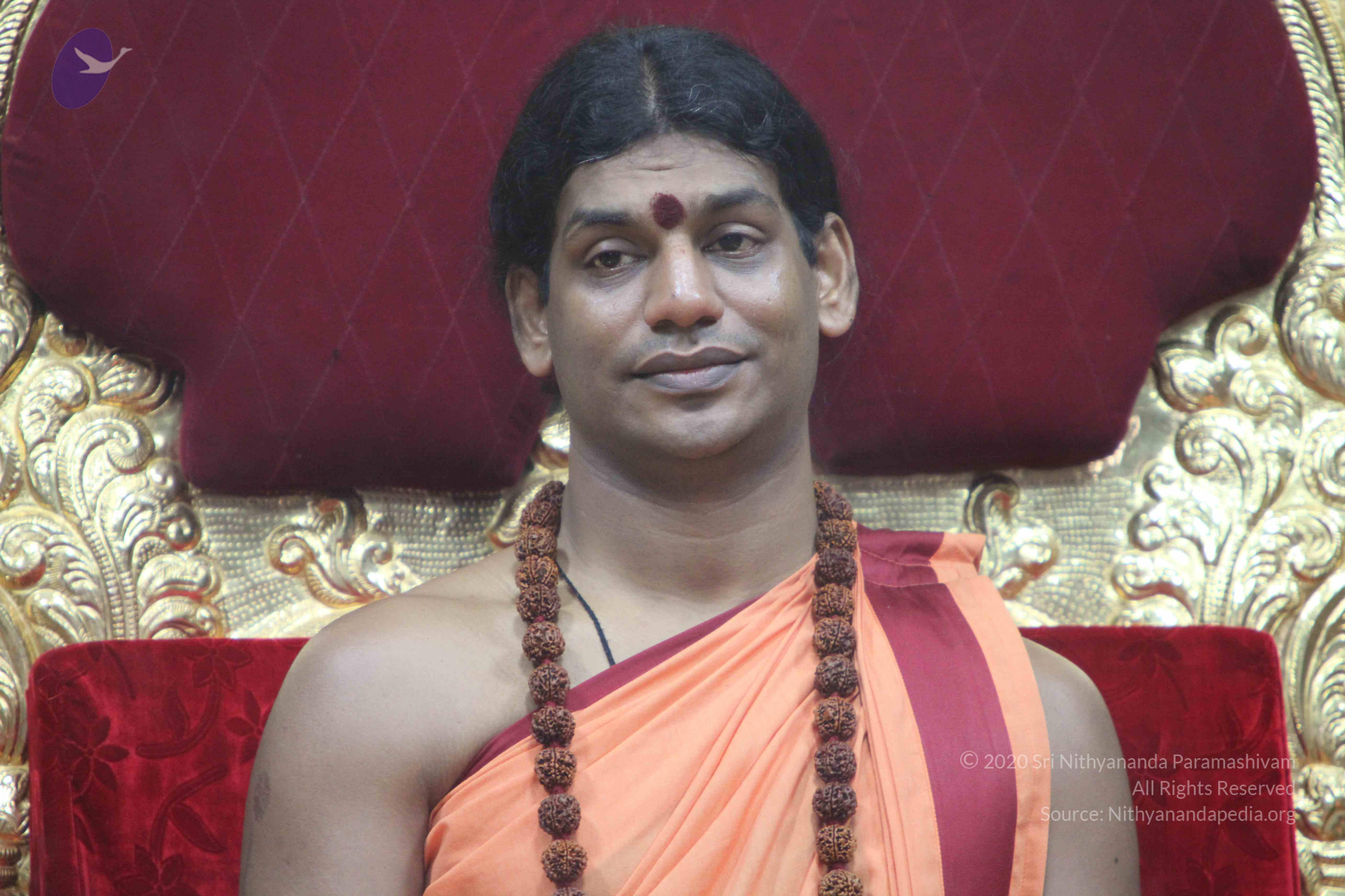 20110202_Photo_1216_IMG_3459_CMP_WM