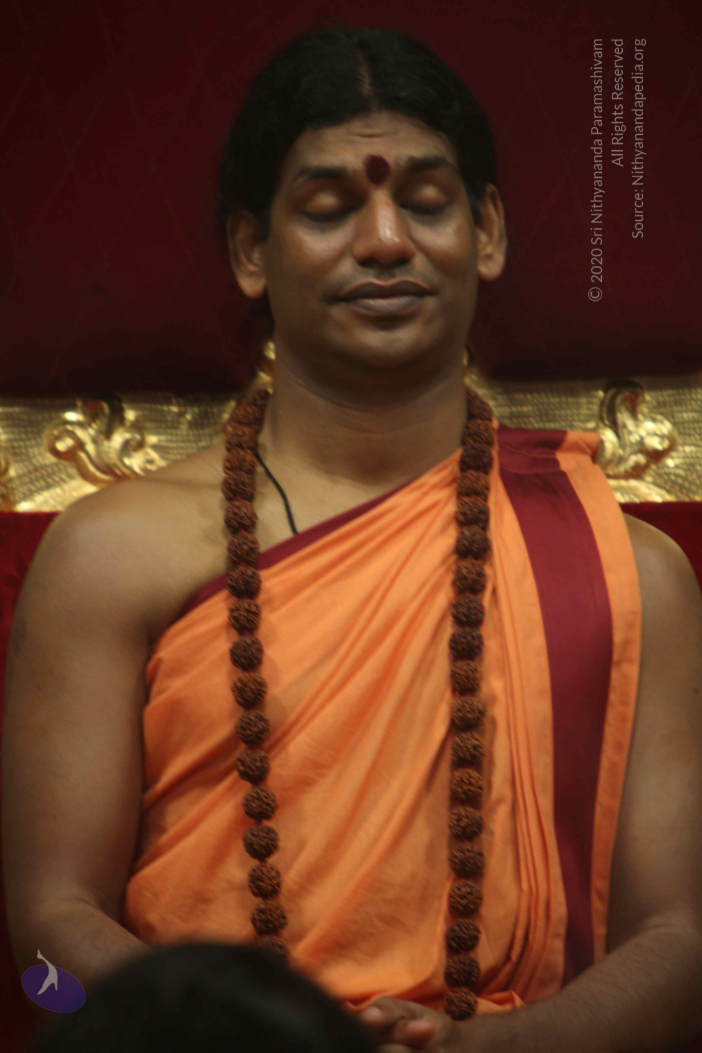 20110202_Photo_1220_IMG_3480_CMP_WM