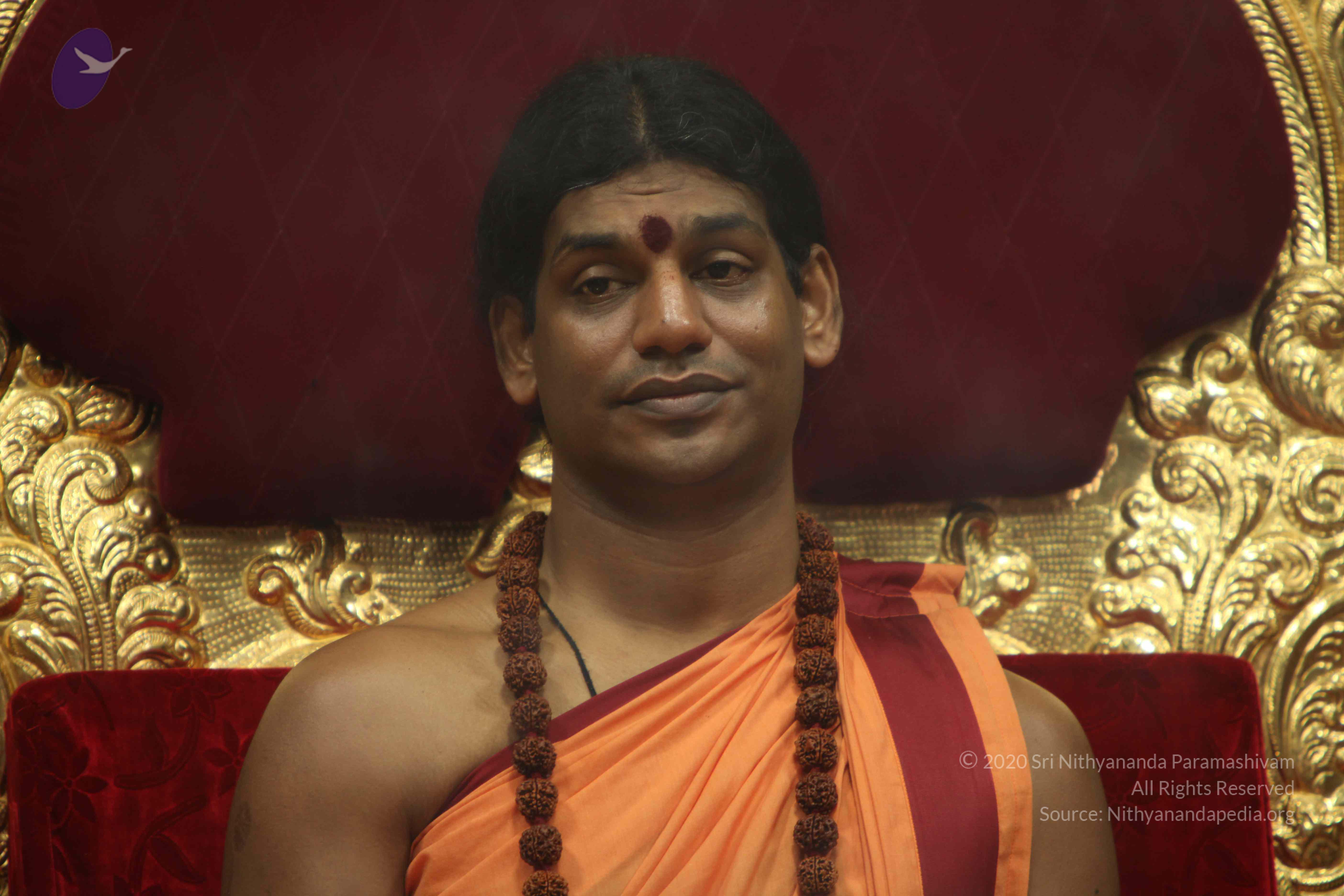 20110202_Photo_1250_IMG_3466_CMP_WM