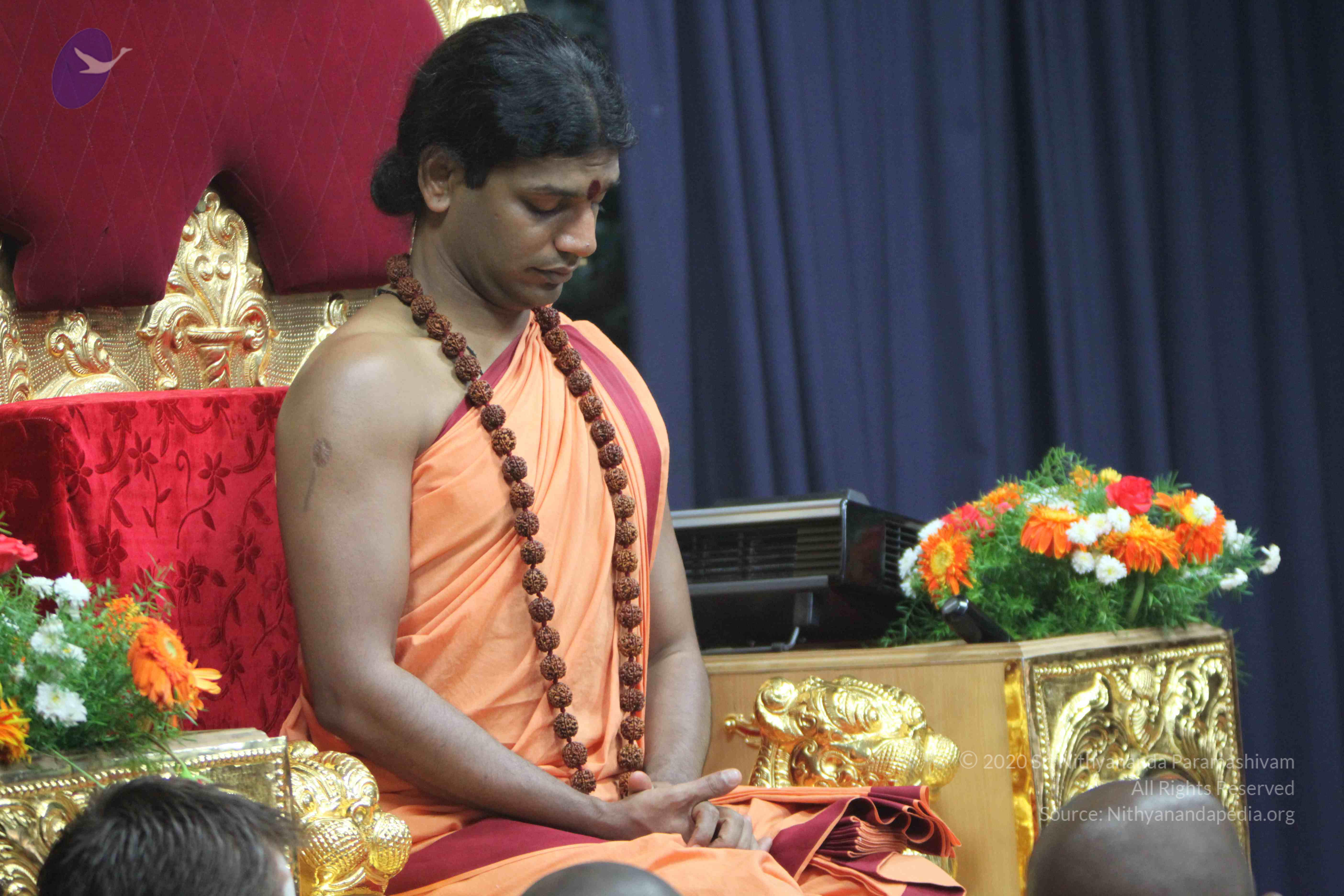 20110202_Photo_1260_IMG_3415_CMP_WM