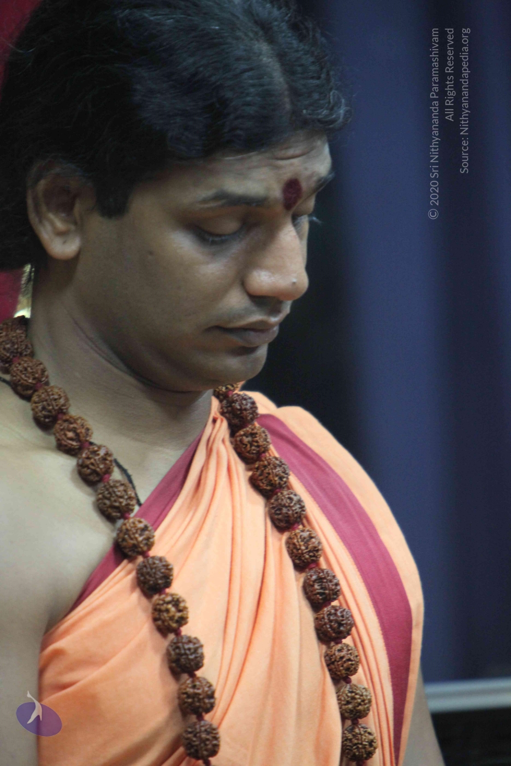 20110202_Photo_1261_IMG_3422_CMP_WM