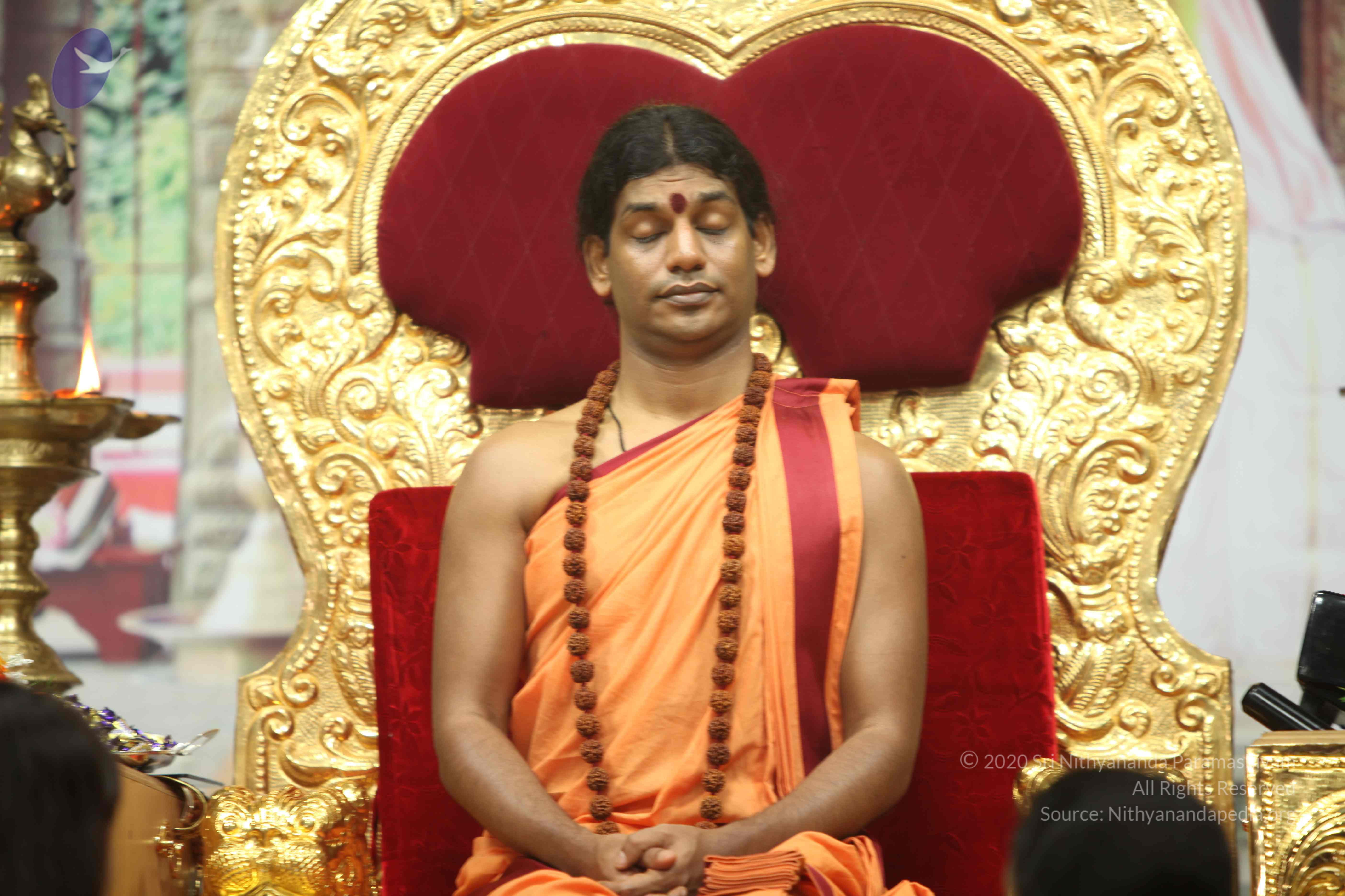 20110202_Photo_1262_IMG_3340_CMP_WM