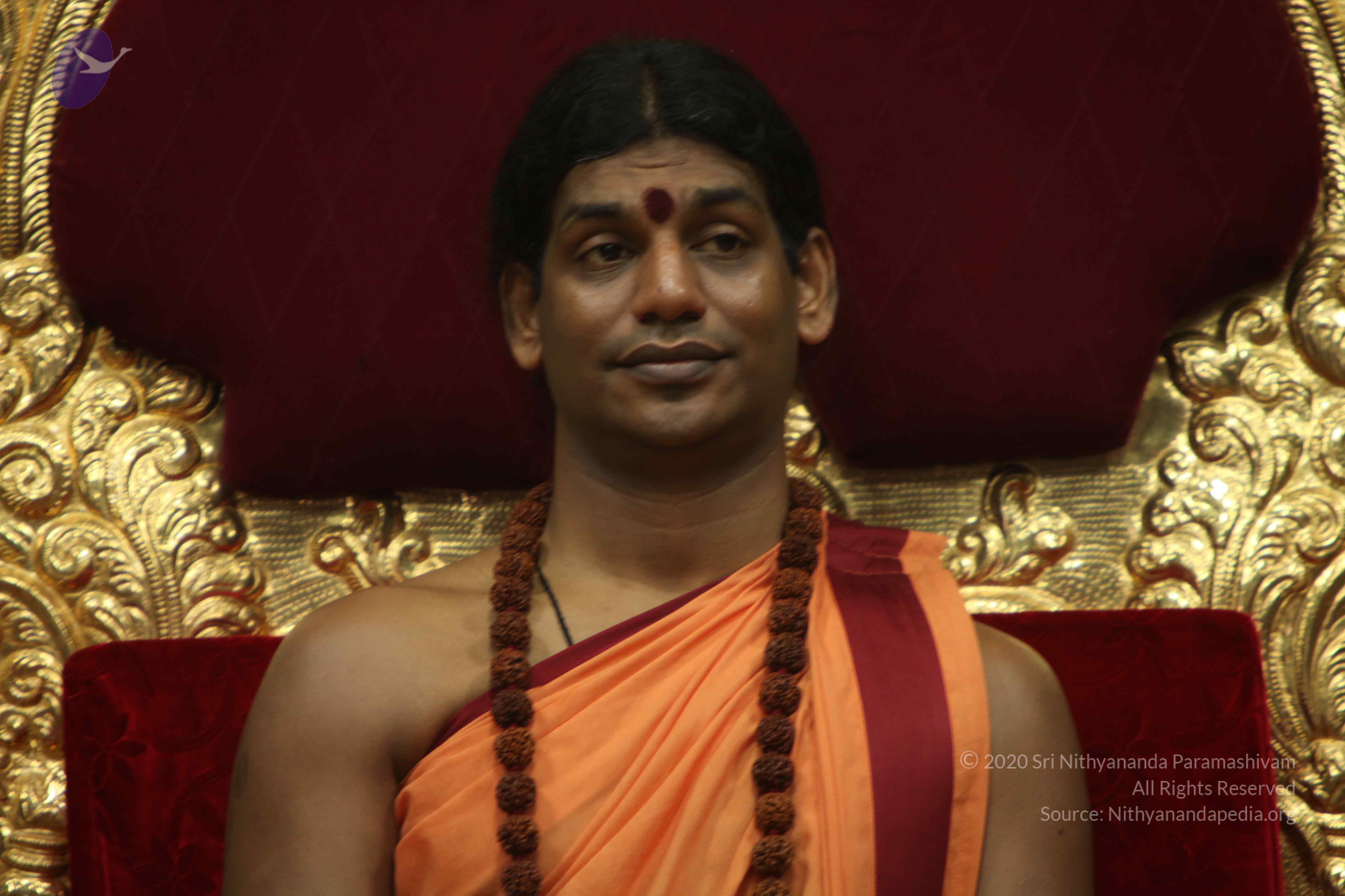 20110202_Photo_1263_IMG_3388_CMP_WM