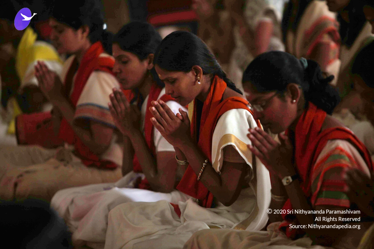 20110202_Photo_1264_IMG_3488_CMP_WM