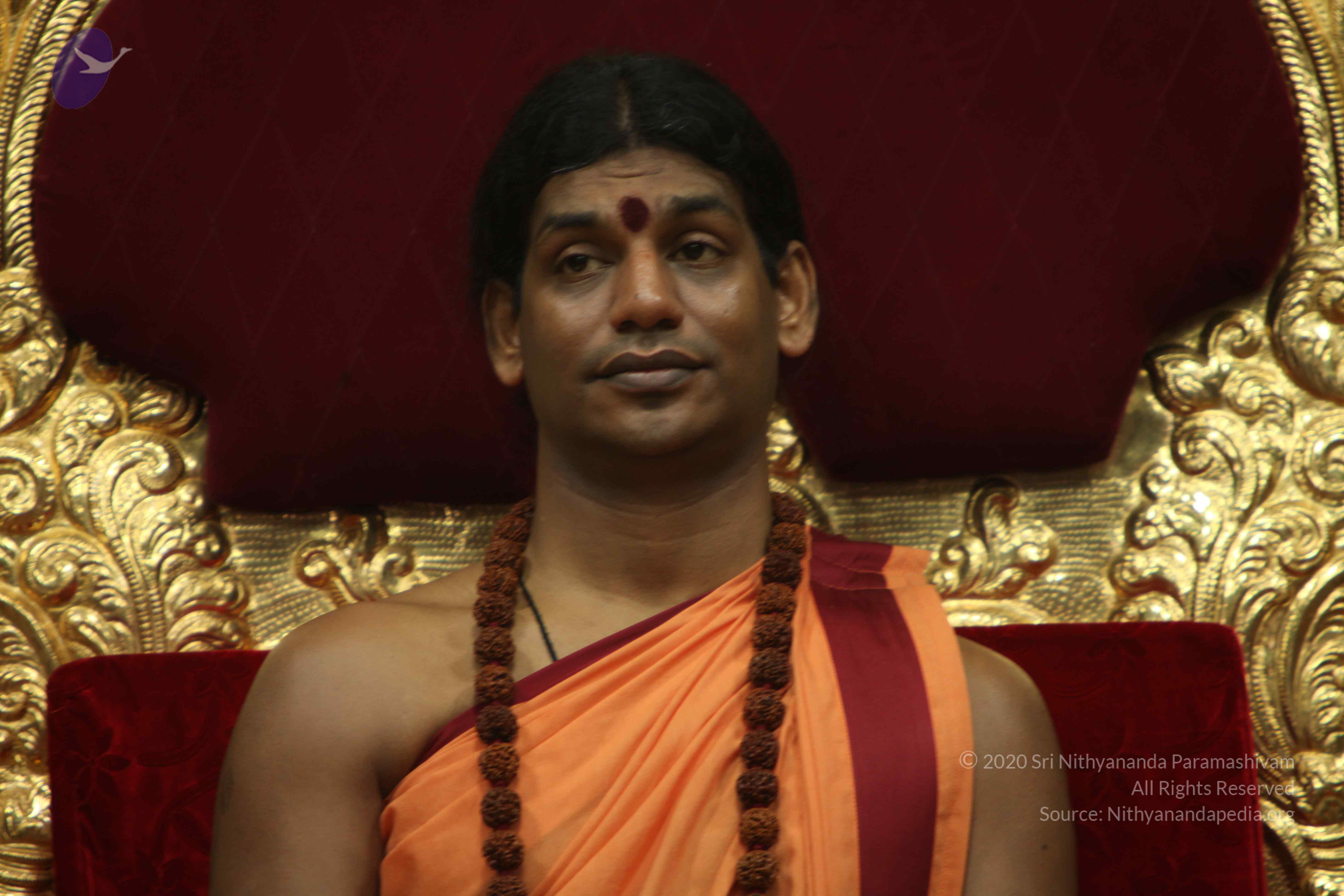 20110202_Photo_1269_IMG_3394_CMP_WM