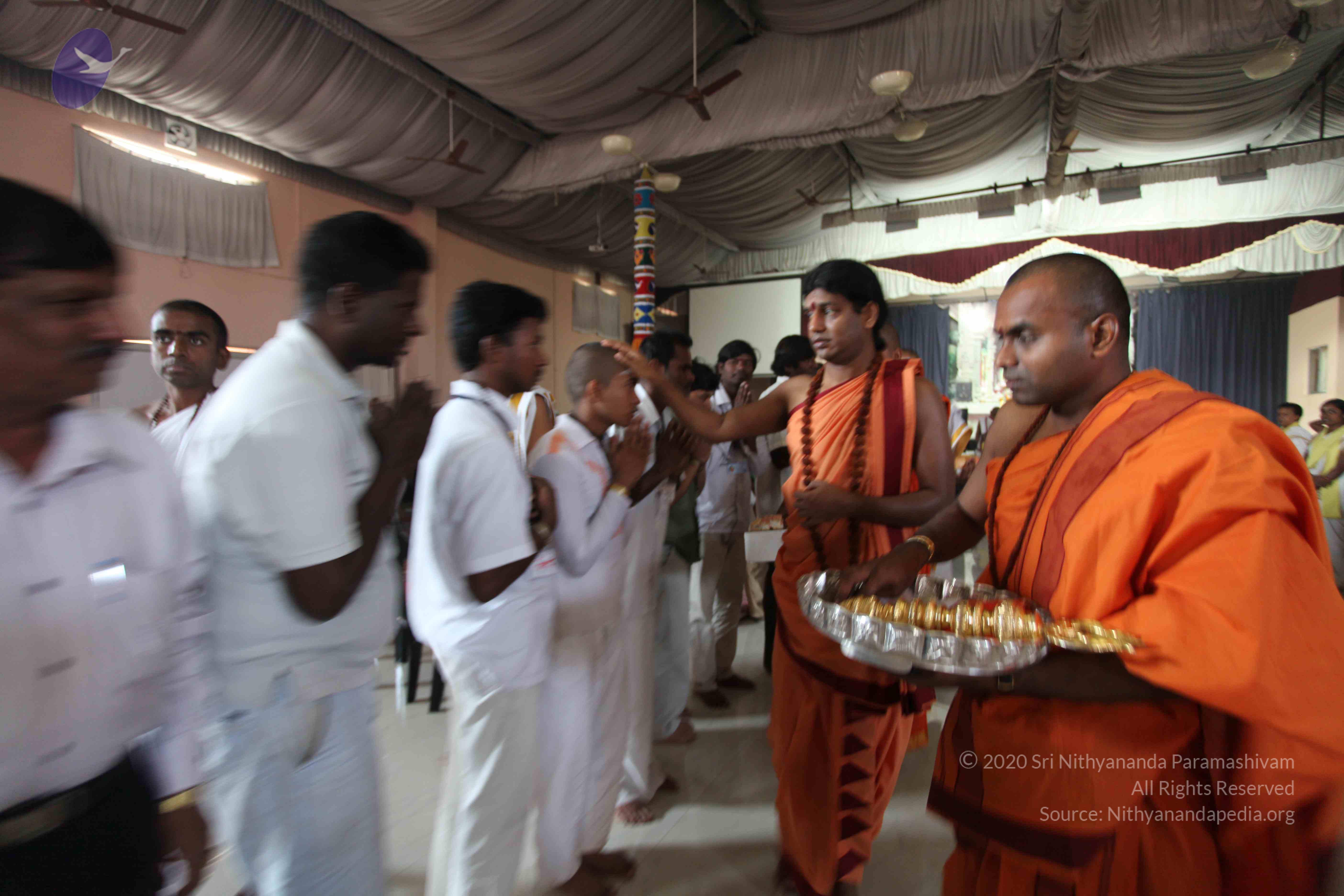 20110202_Photo_1028_IMG_3863_CMP_WM