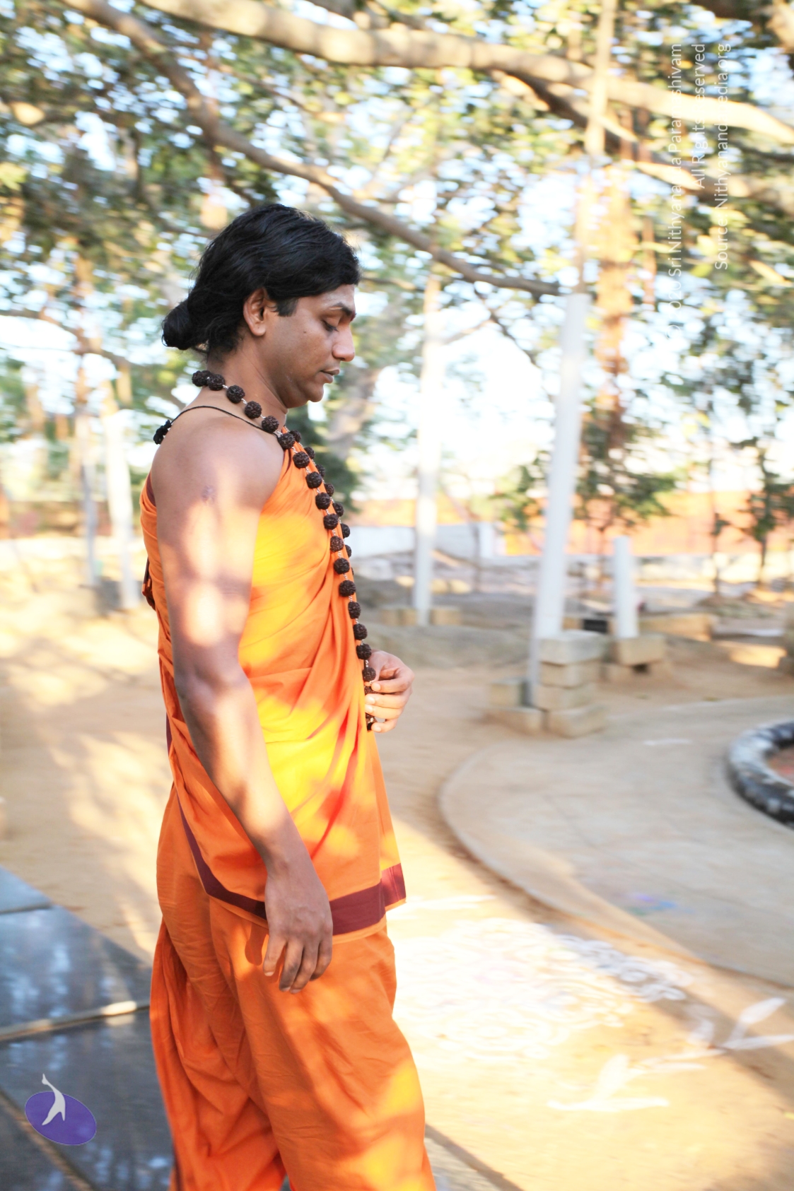 20110211_Photo_1002_IMG_7188_CMP_WM