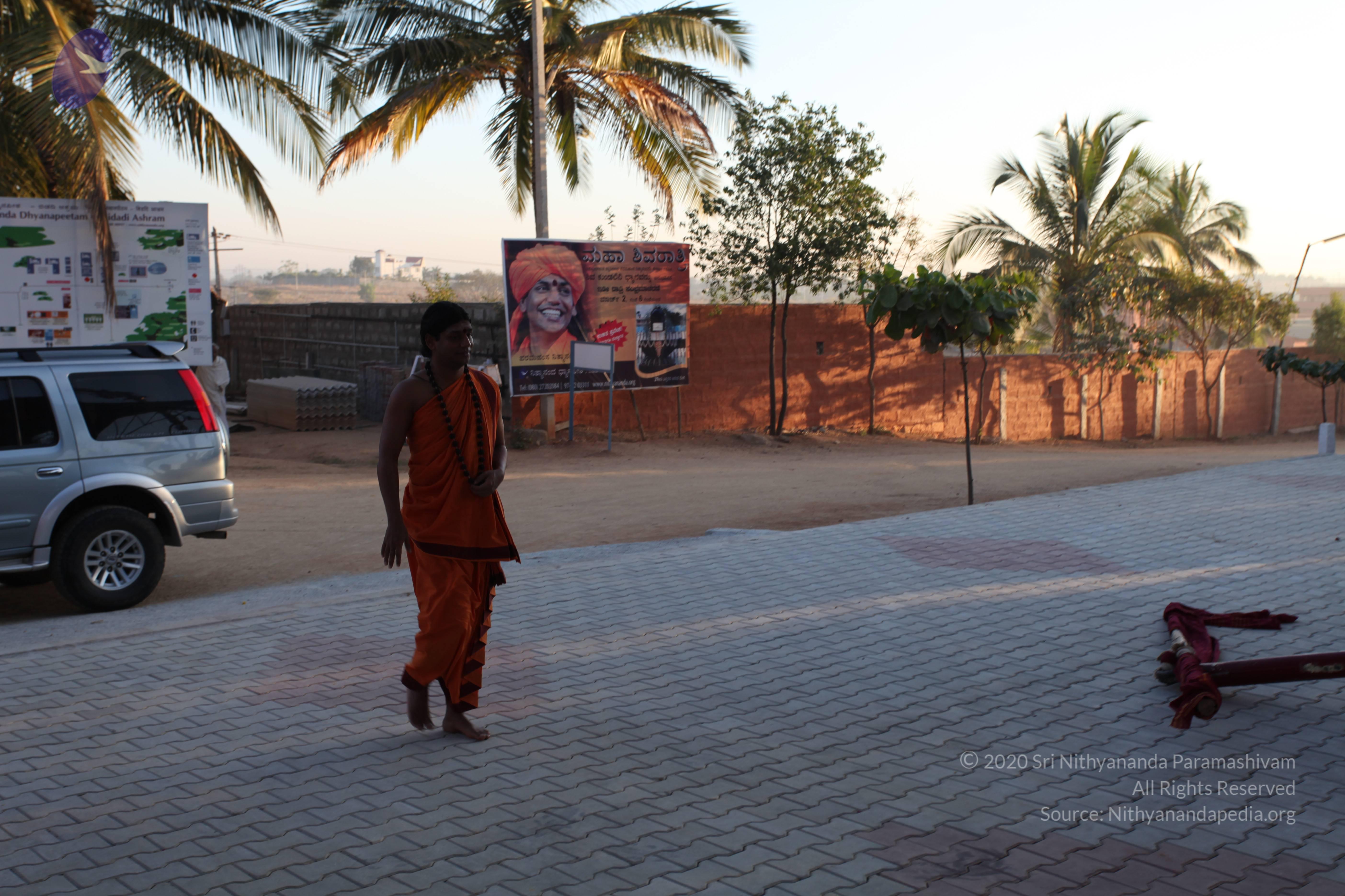 20110211_Photo_1004_IMG_7159_CMP_WM