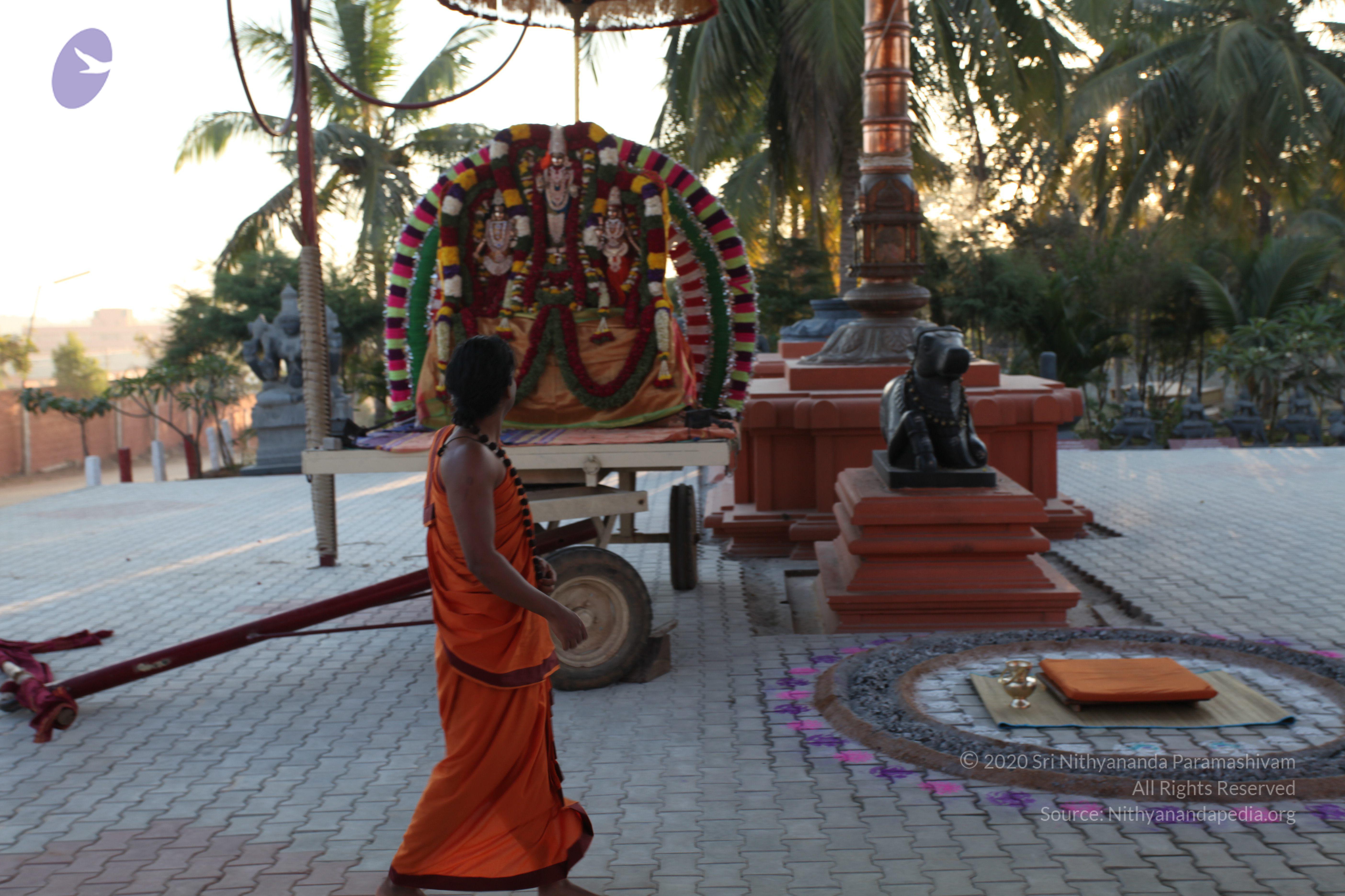 20110211_Photo_1007_IMG_7163_CMP_WM