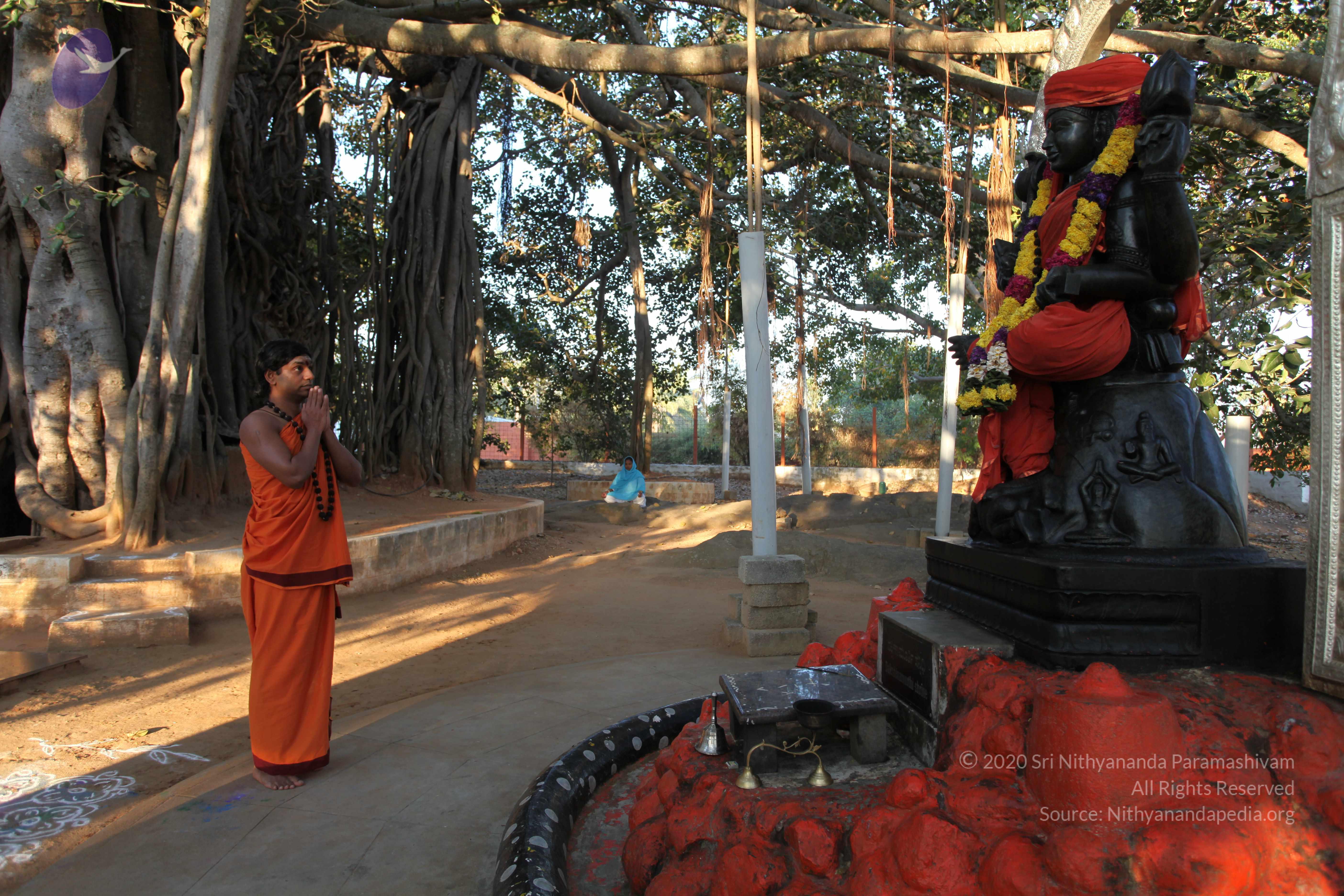 20110211_Photo_1008_IMG_7180_CMP_WM