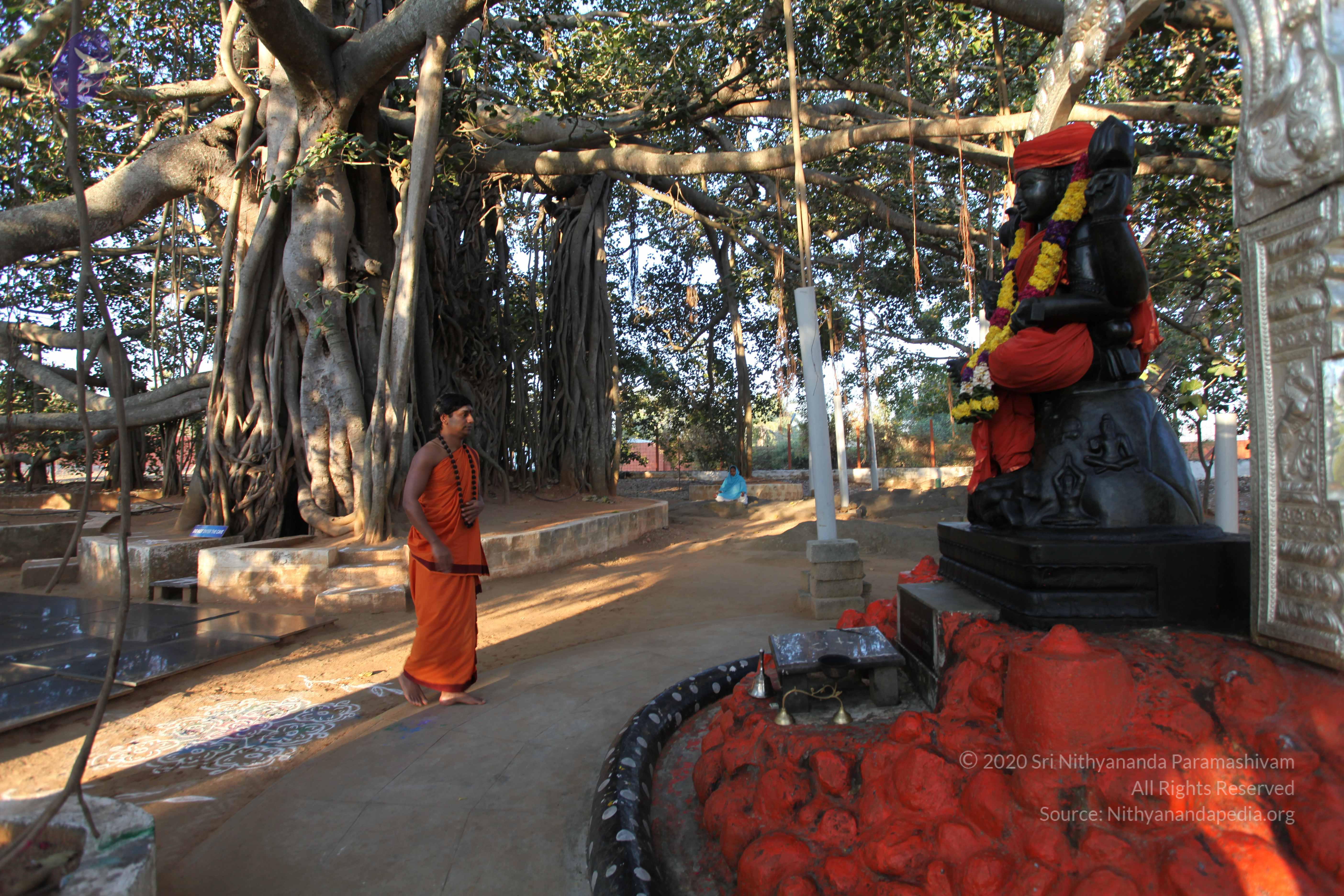 20110211_Photo_1021_IMG_7181_CMP_WM