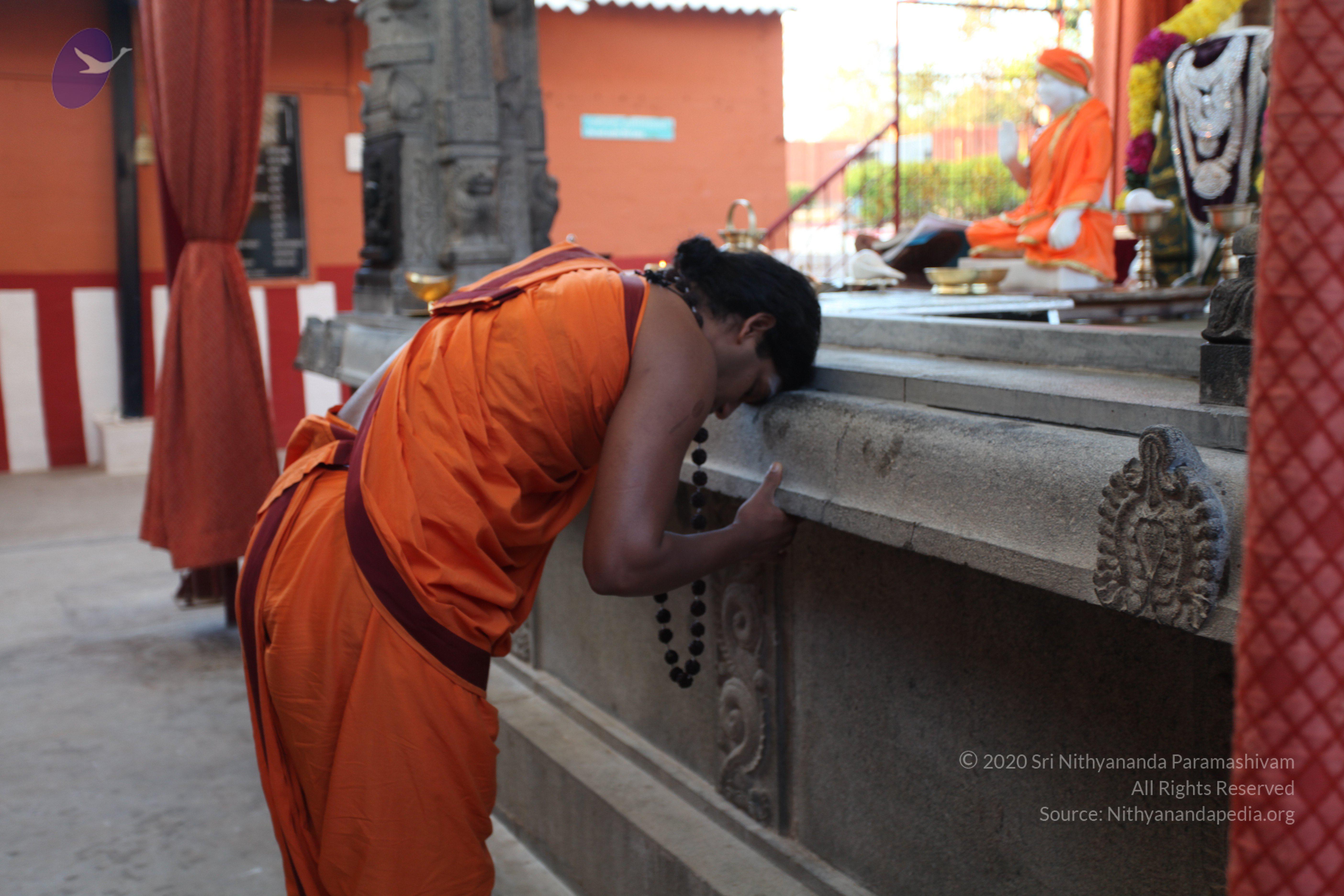 20110211_Photo_1022_IMG_7167_CMP_WM