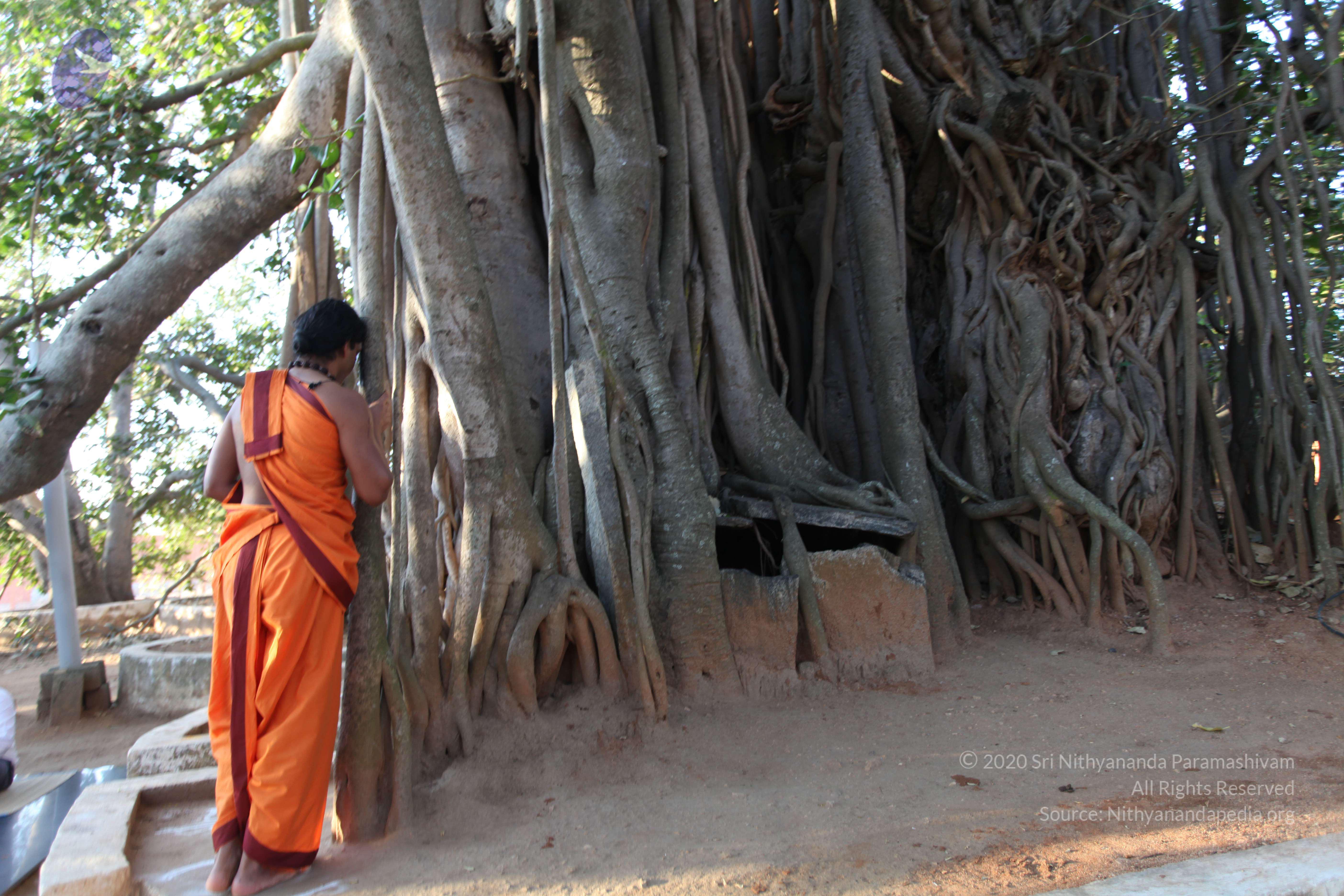 20110211_Photo_1027_IMG_7183_CMP_WM