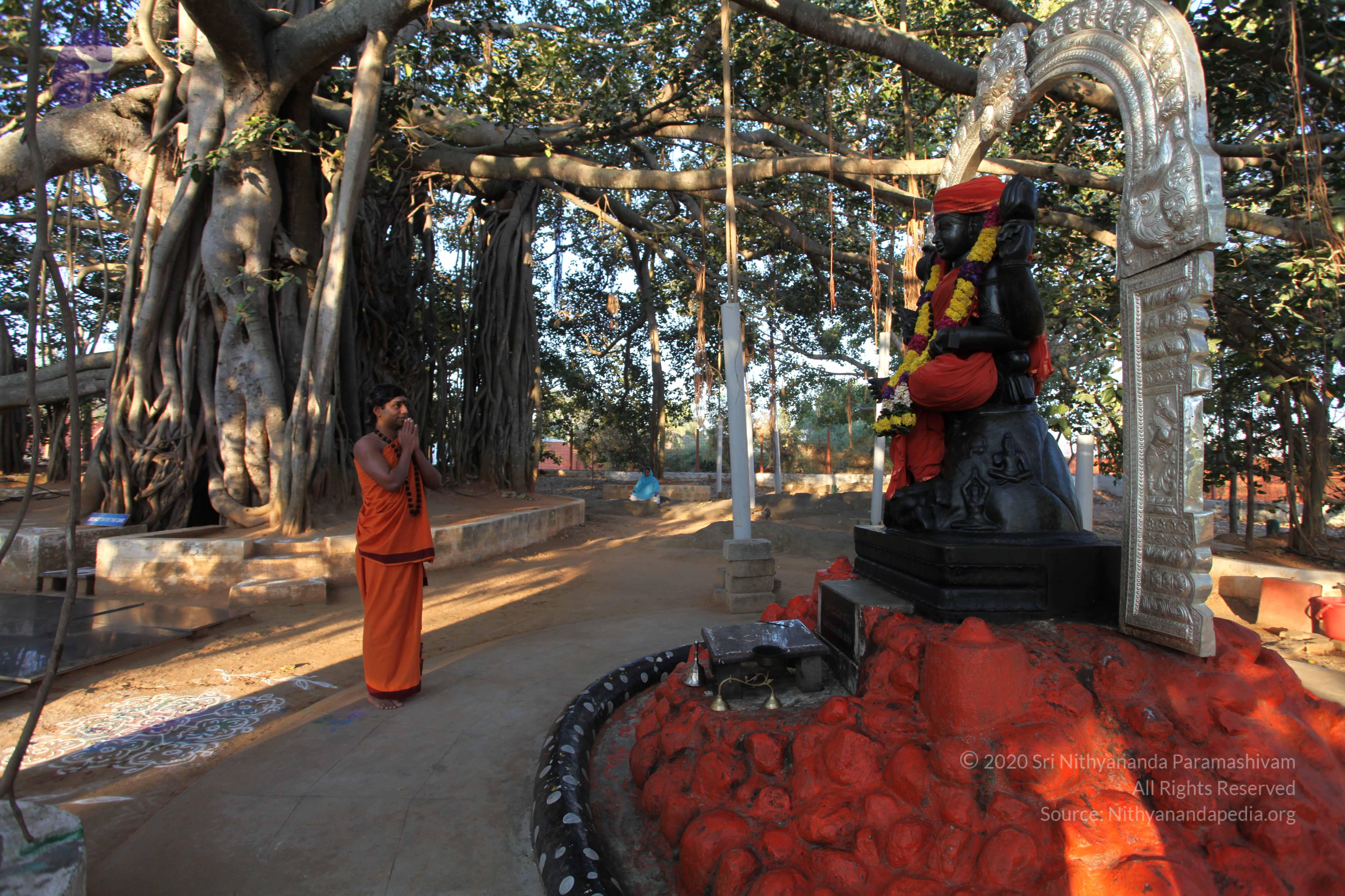 20110211_Photo_1030_IMG_7179_CMP_WM