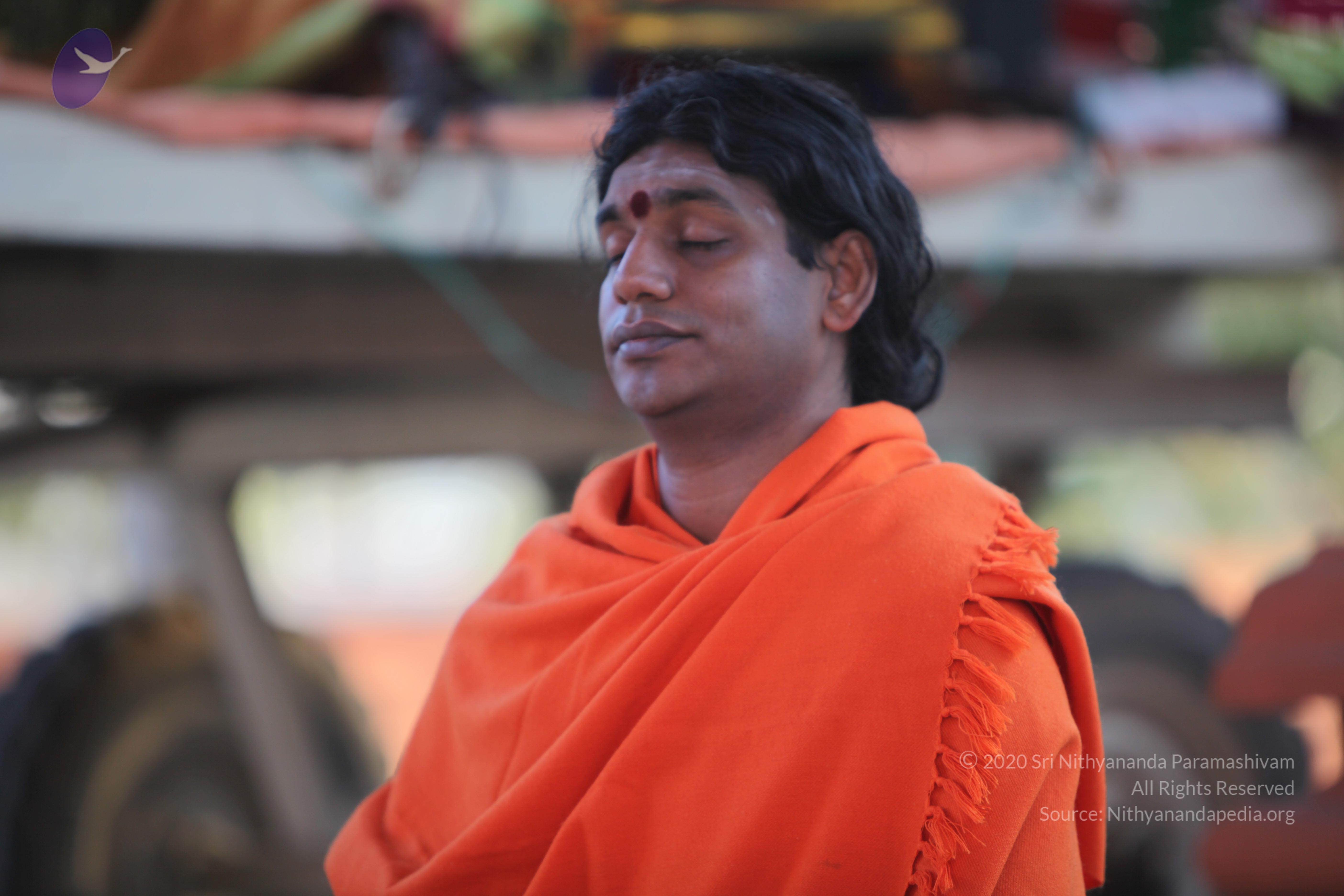 20110211_Photo_1001_IMG_7224_CMP_WM