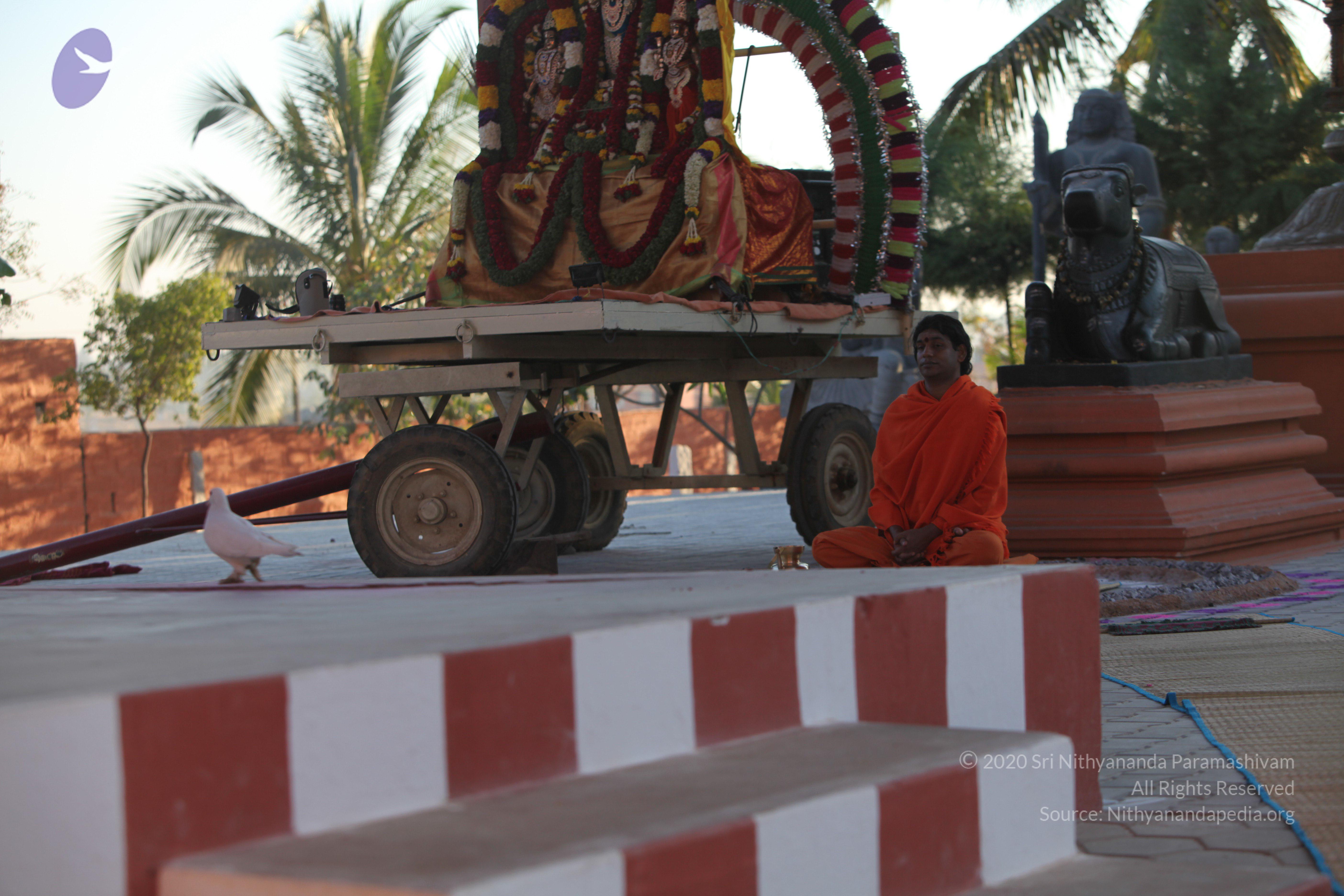 20110211_Photo_1003_IMG_7246_CMP_WM